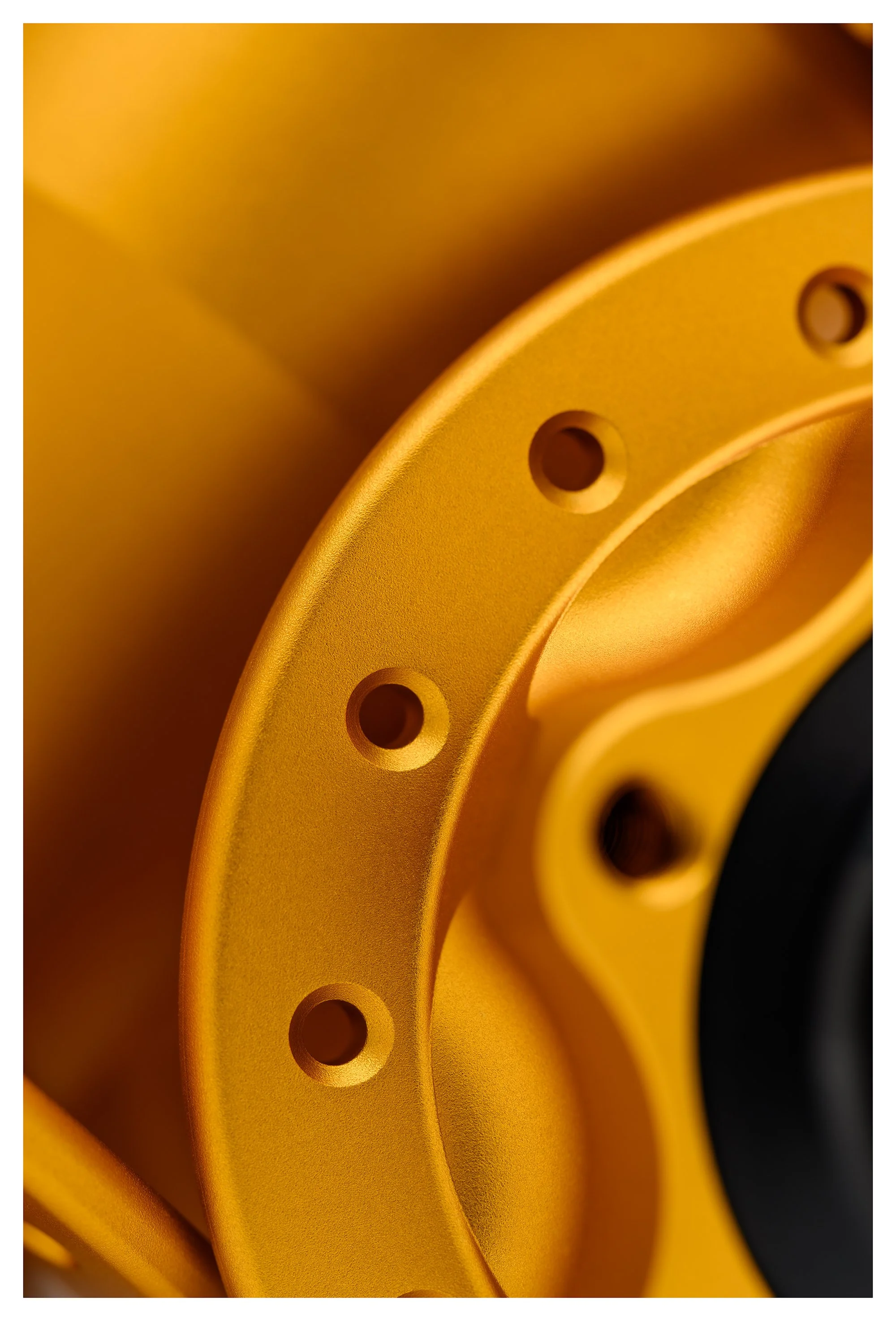 matte gold macro border.jpg