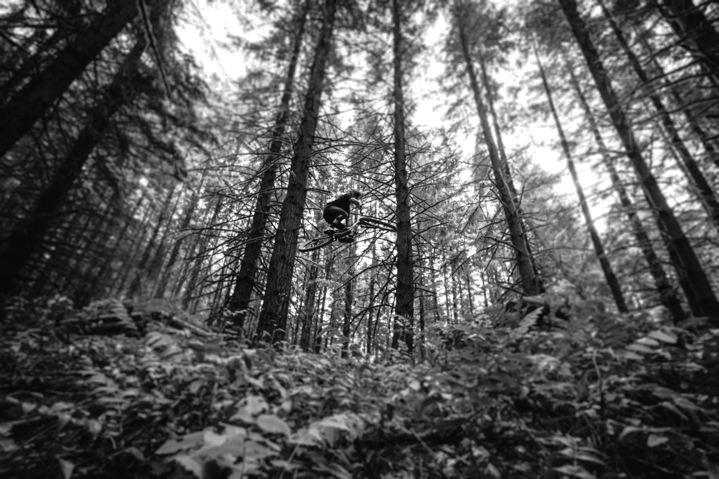 mtb2025-10-2.jpg