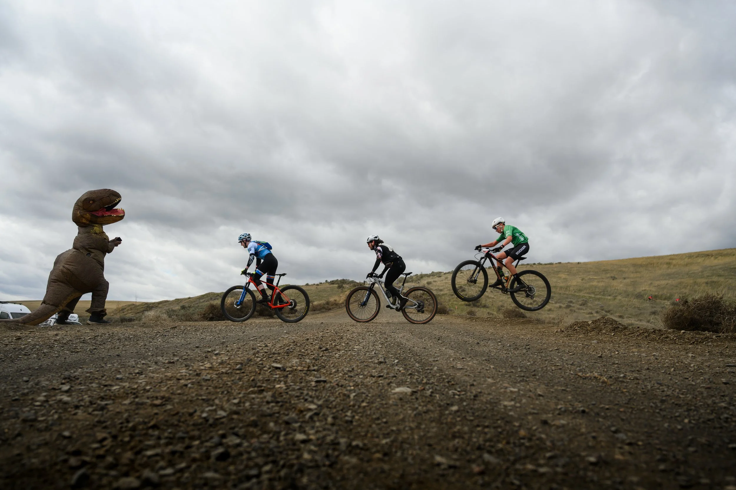 EchoMTB-5.jpg