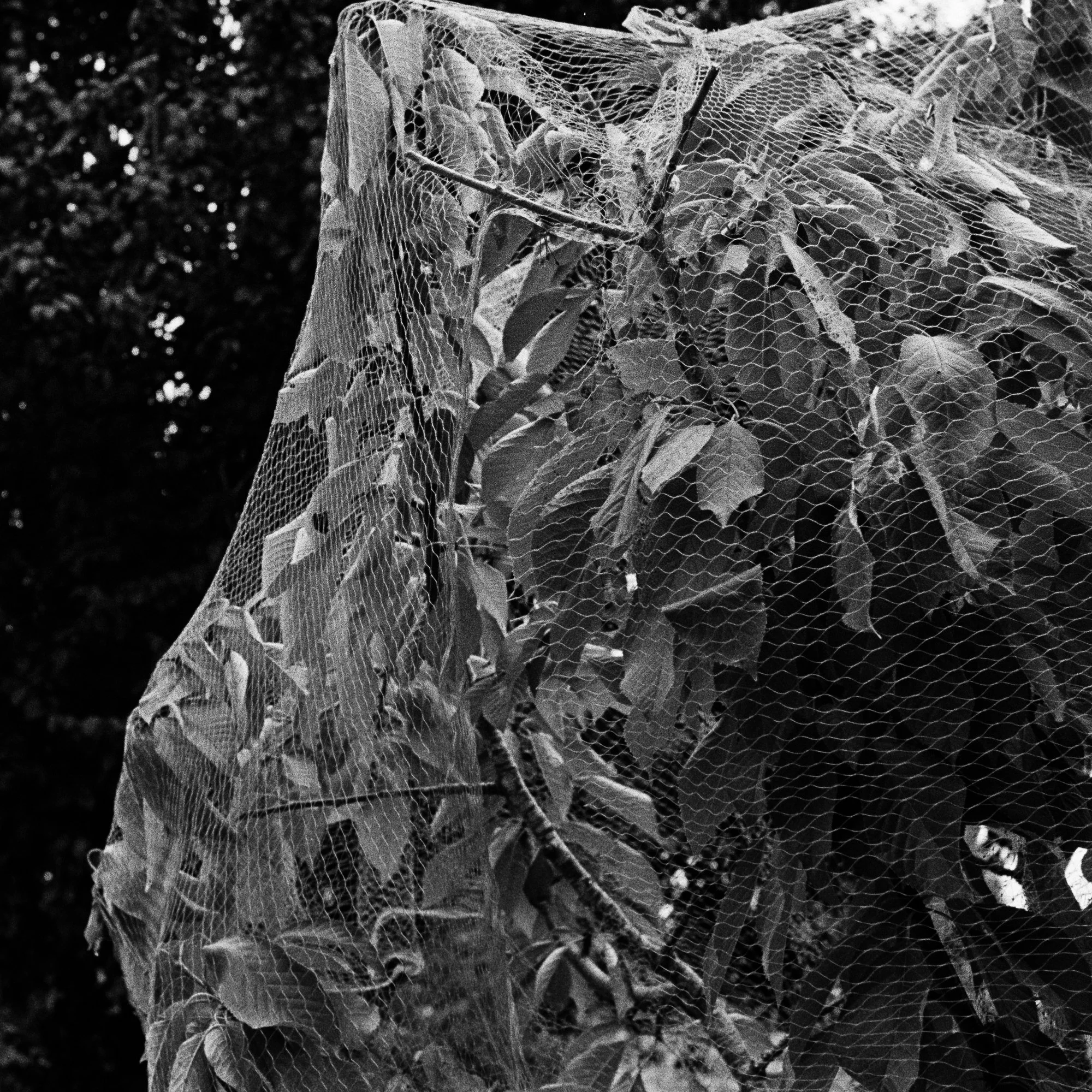 072725_400TX-35.jpg