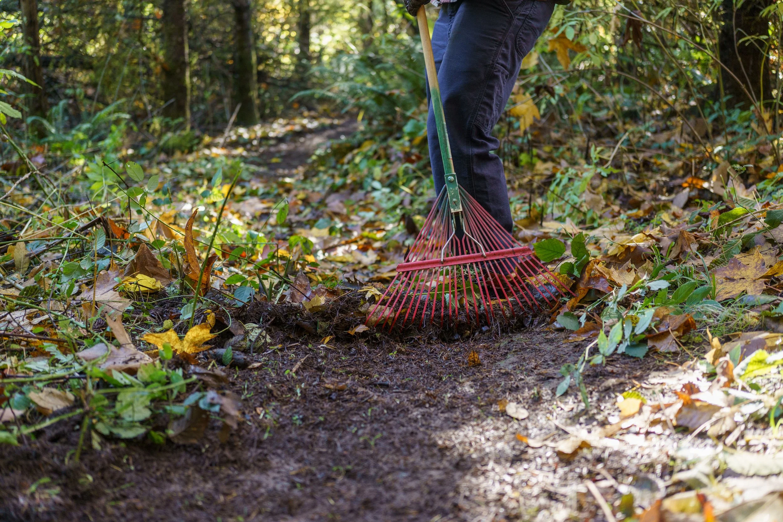 trail-1.jpg