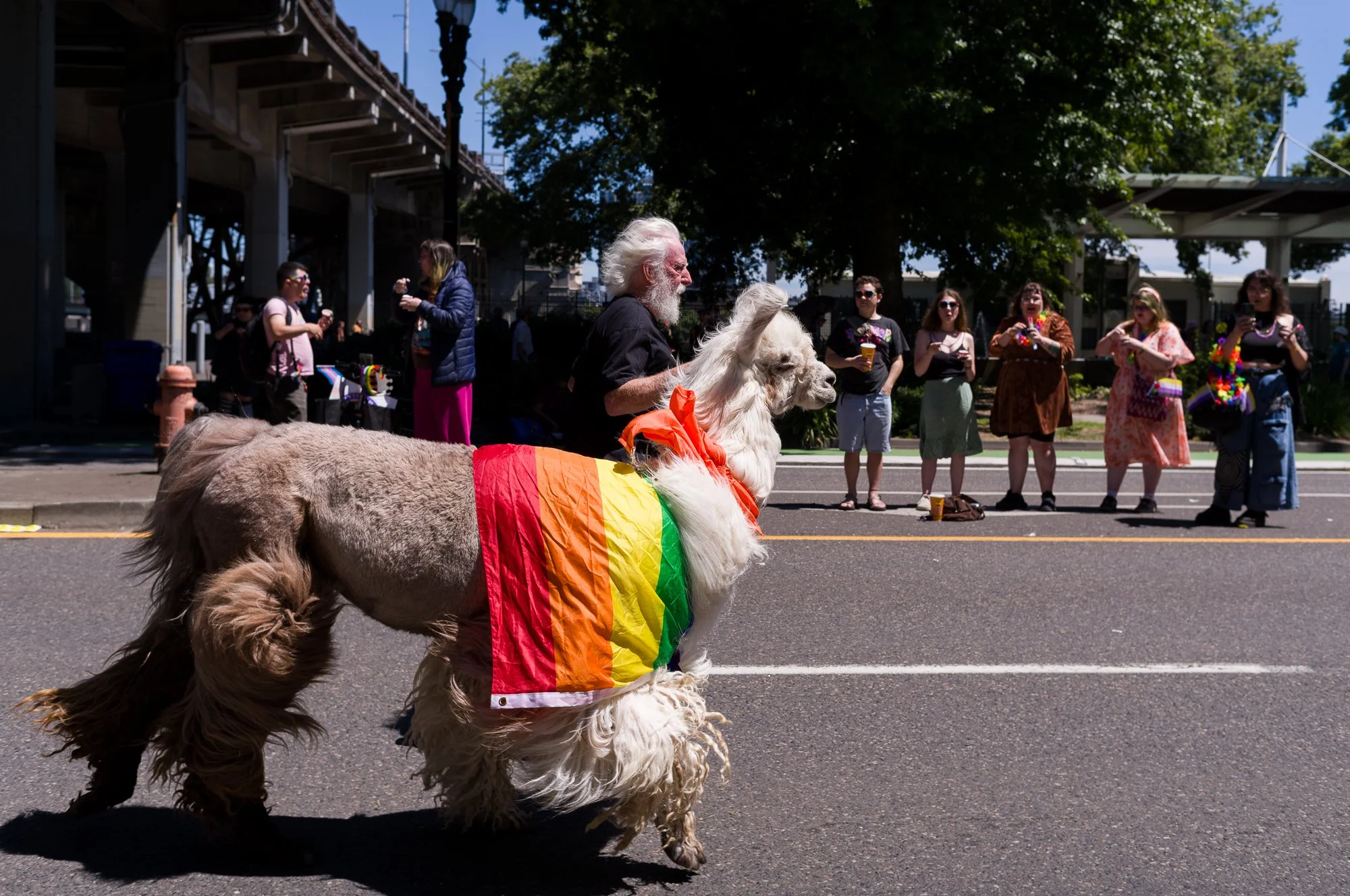 Pride_2026-15.jpg