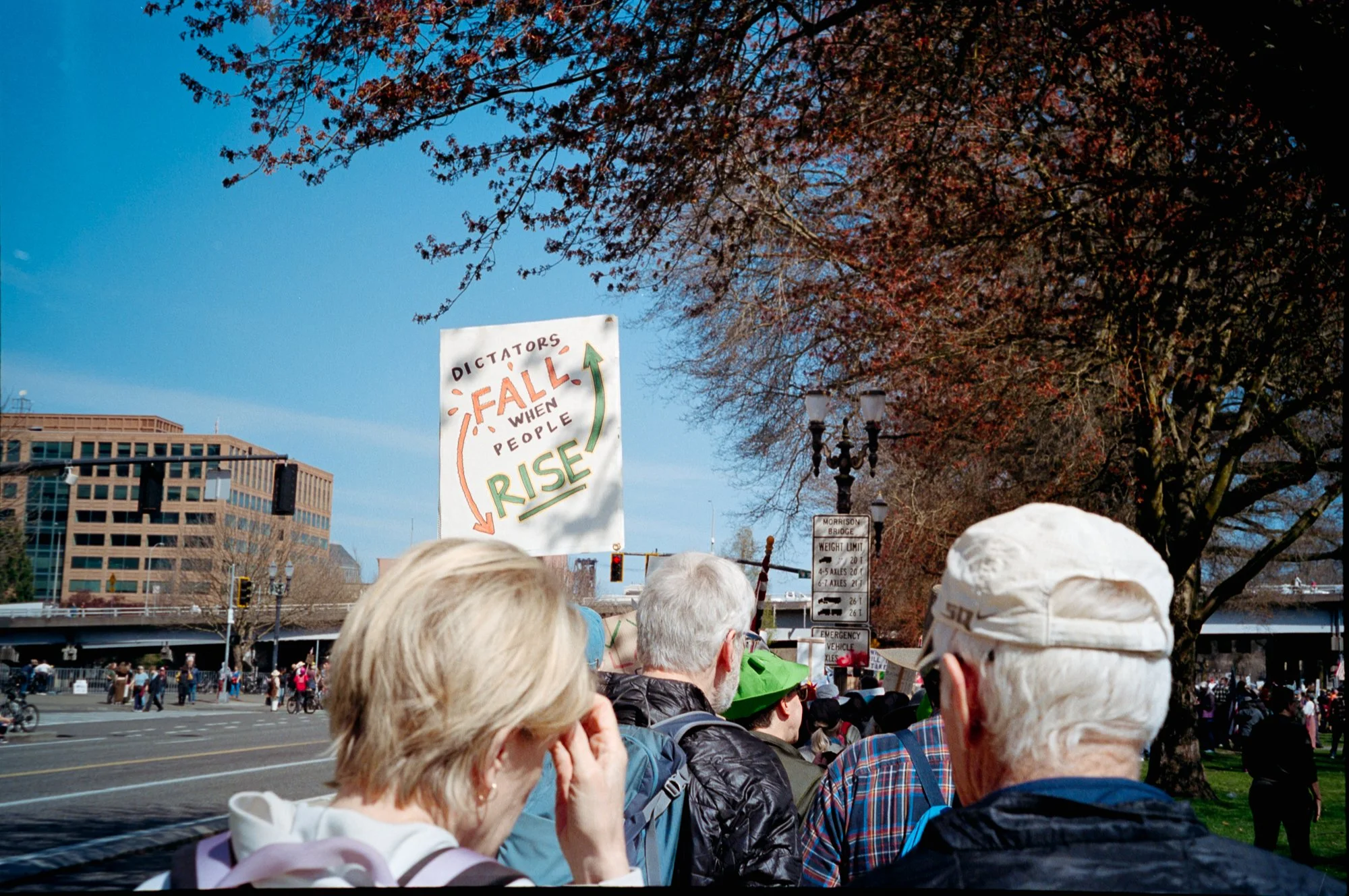 Nokings_Portra-8.jpg