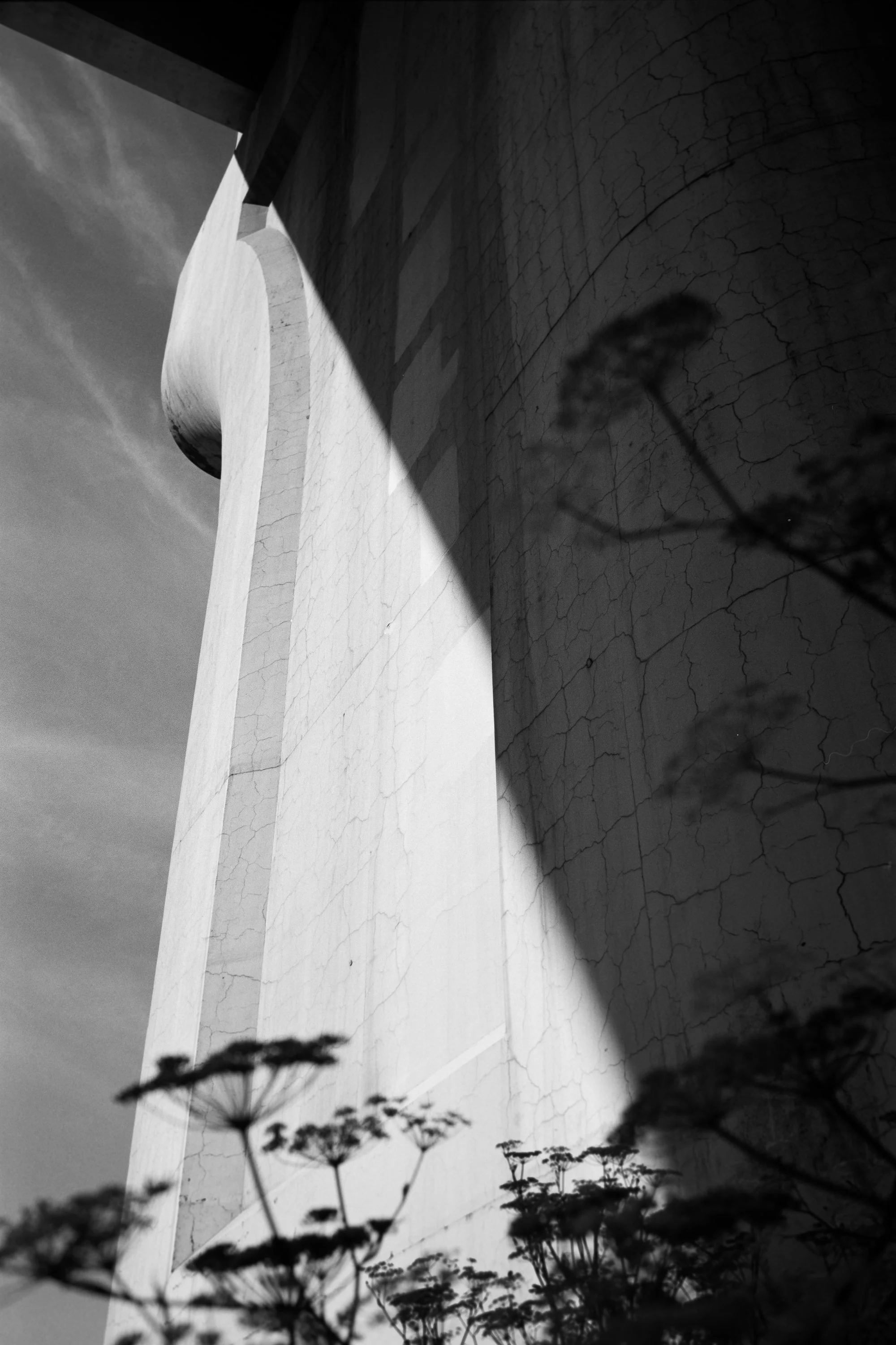 081625_Acros100-24.jpg