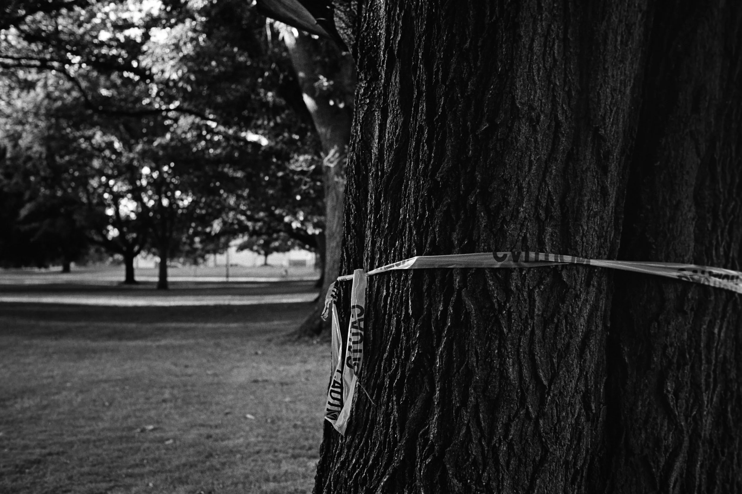 080725_TriX400-88.jpg