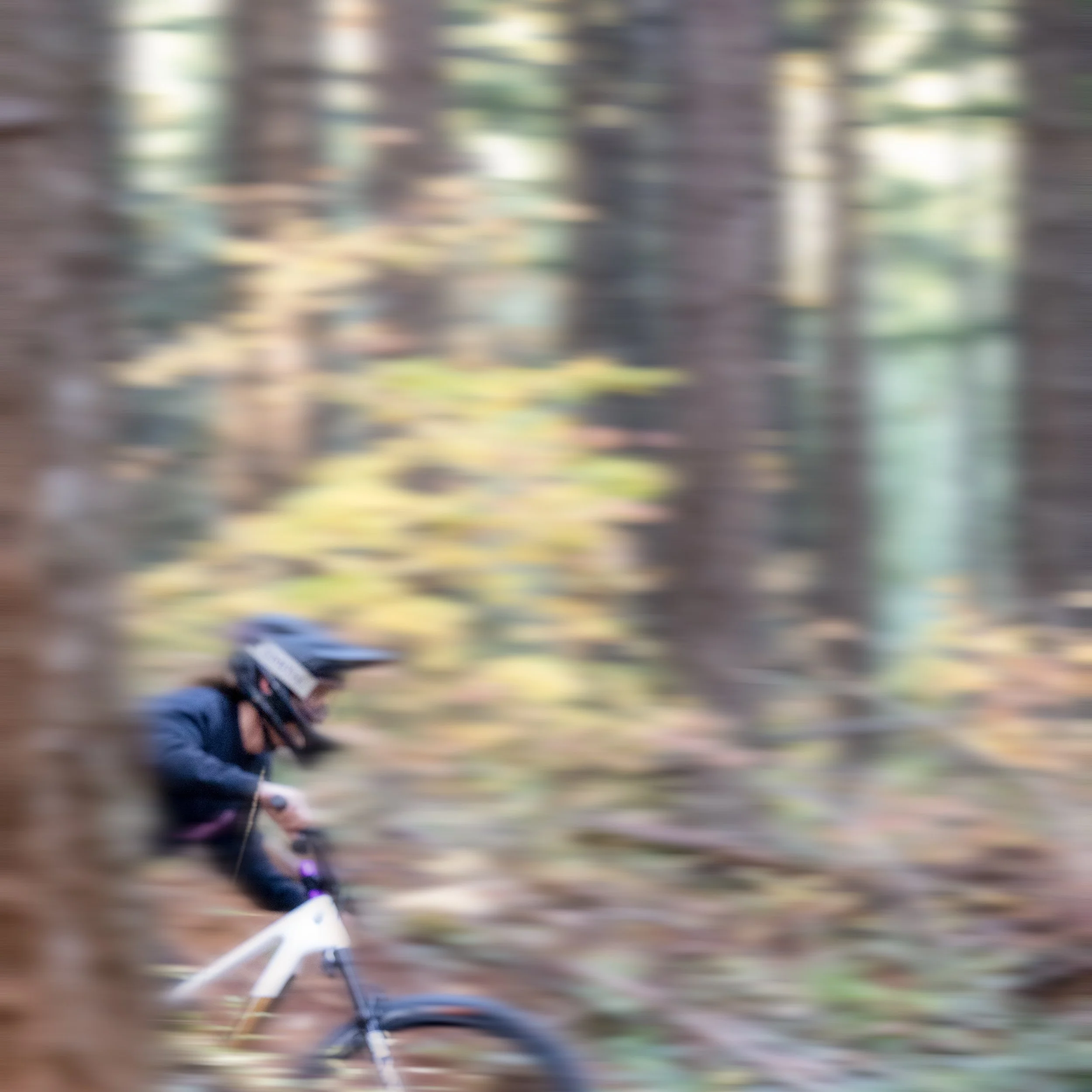 mtb-2.jpg