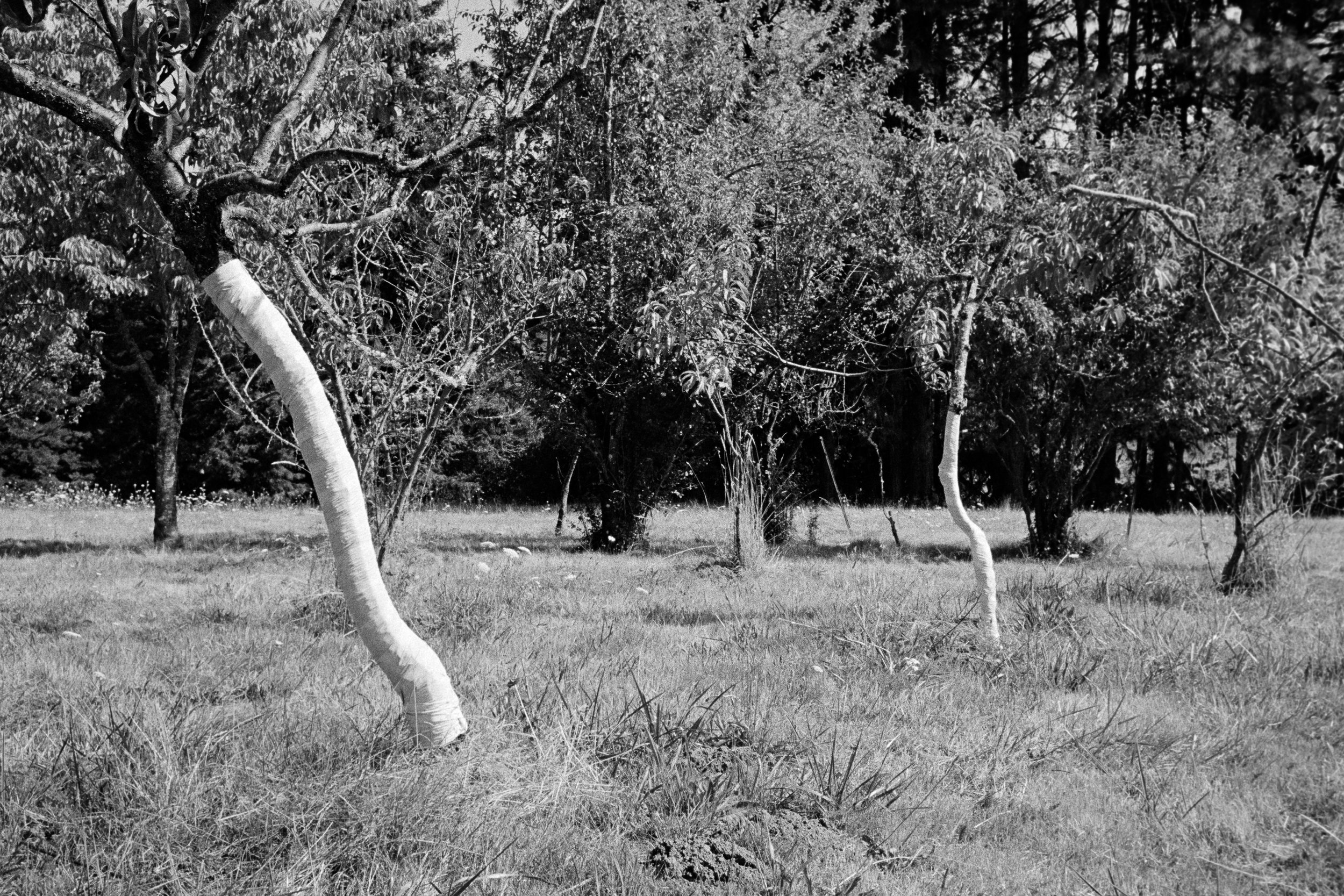 082725_400TX-15.jpg