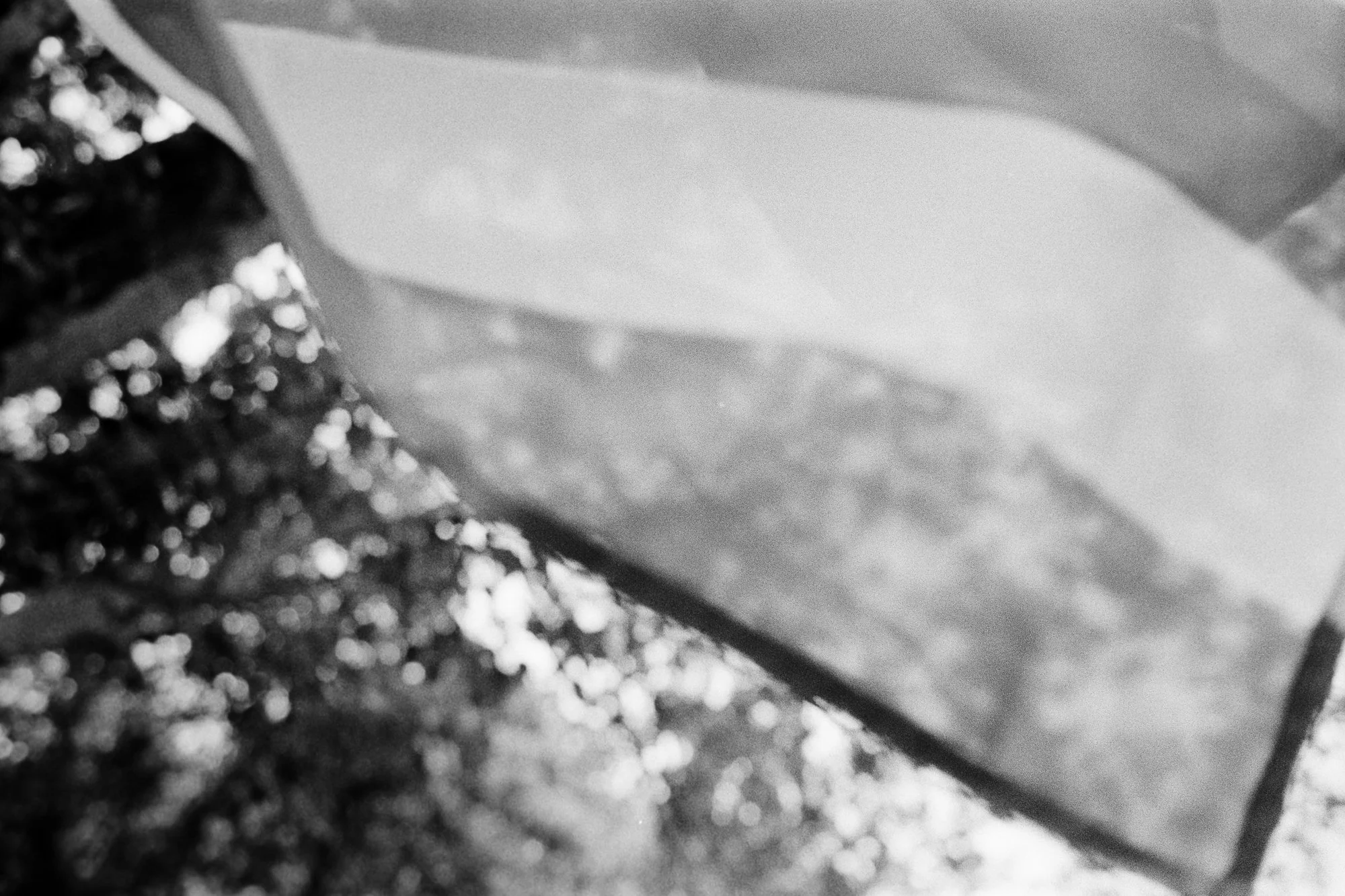 Nokings_BW-7-4.jpg
