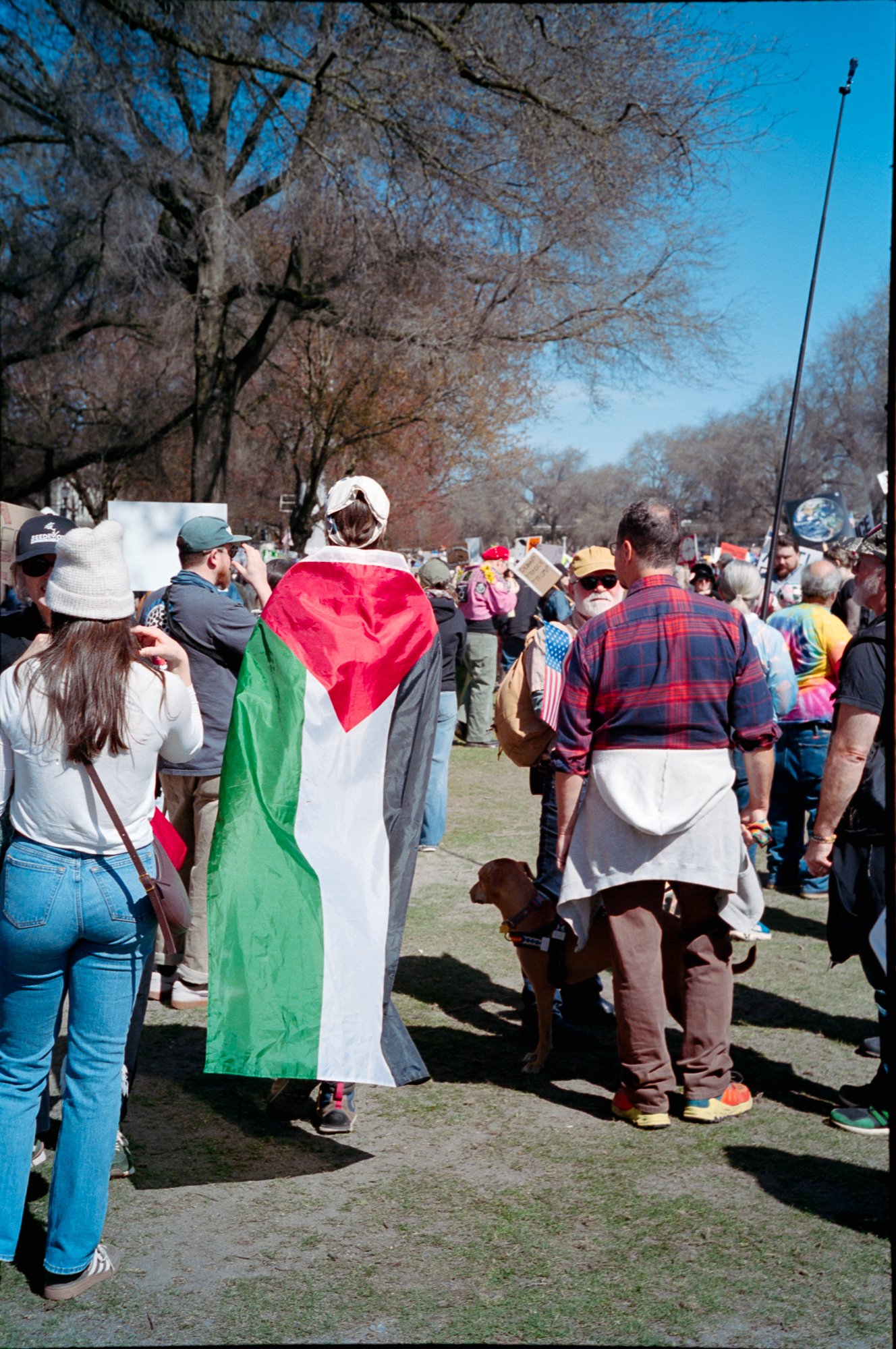 Nokings_Portra-6.jpg