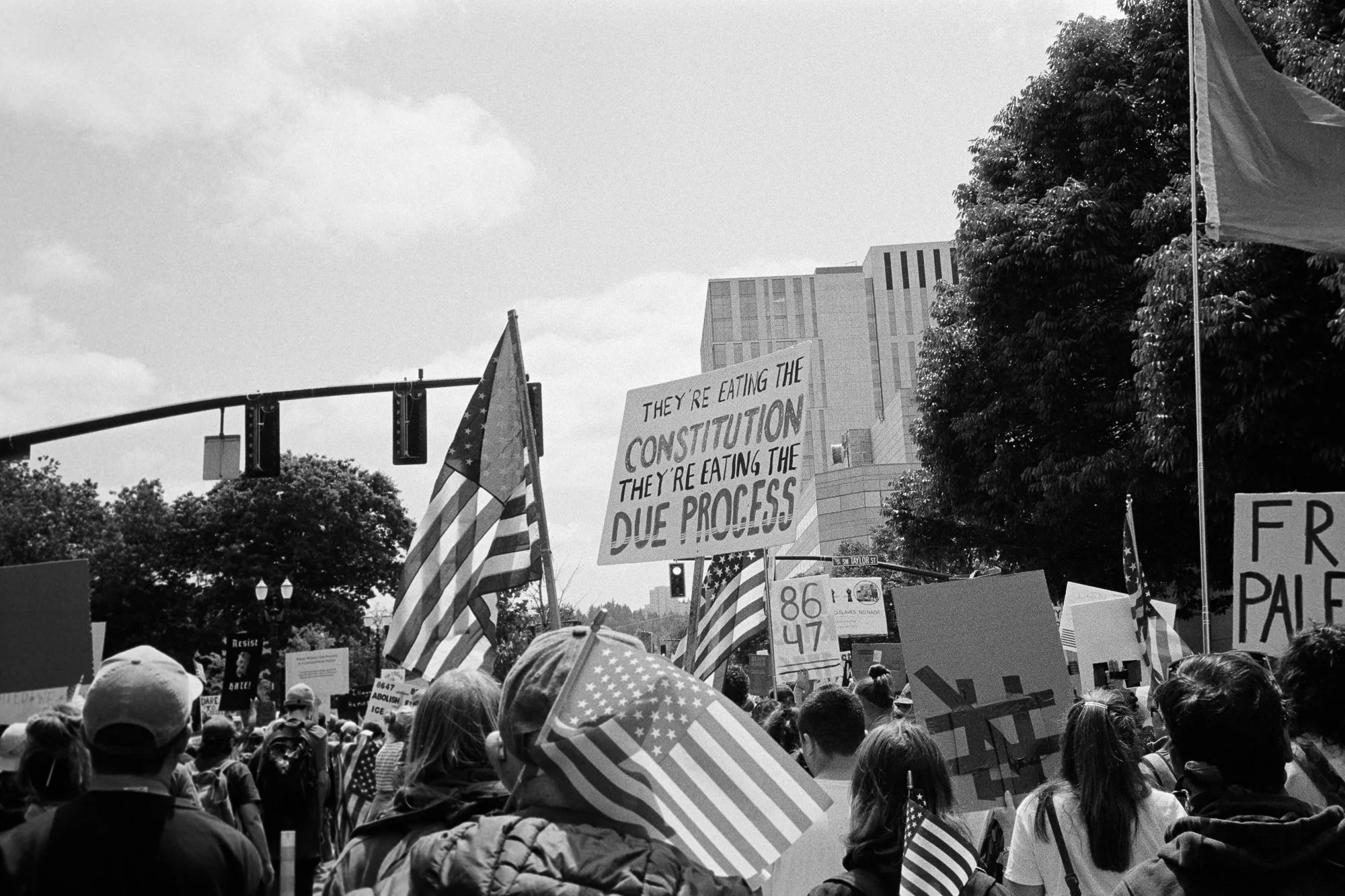 Nokings_BW-7-5.jpg
