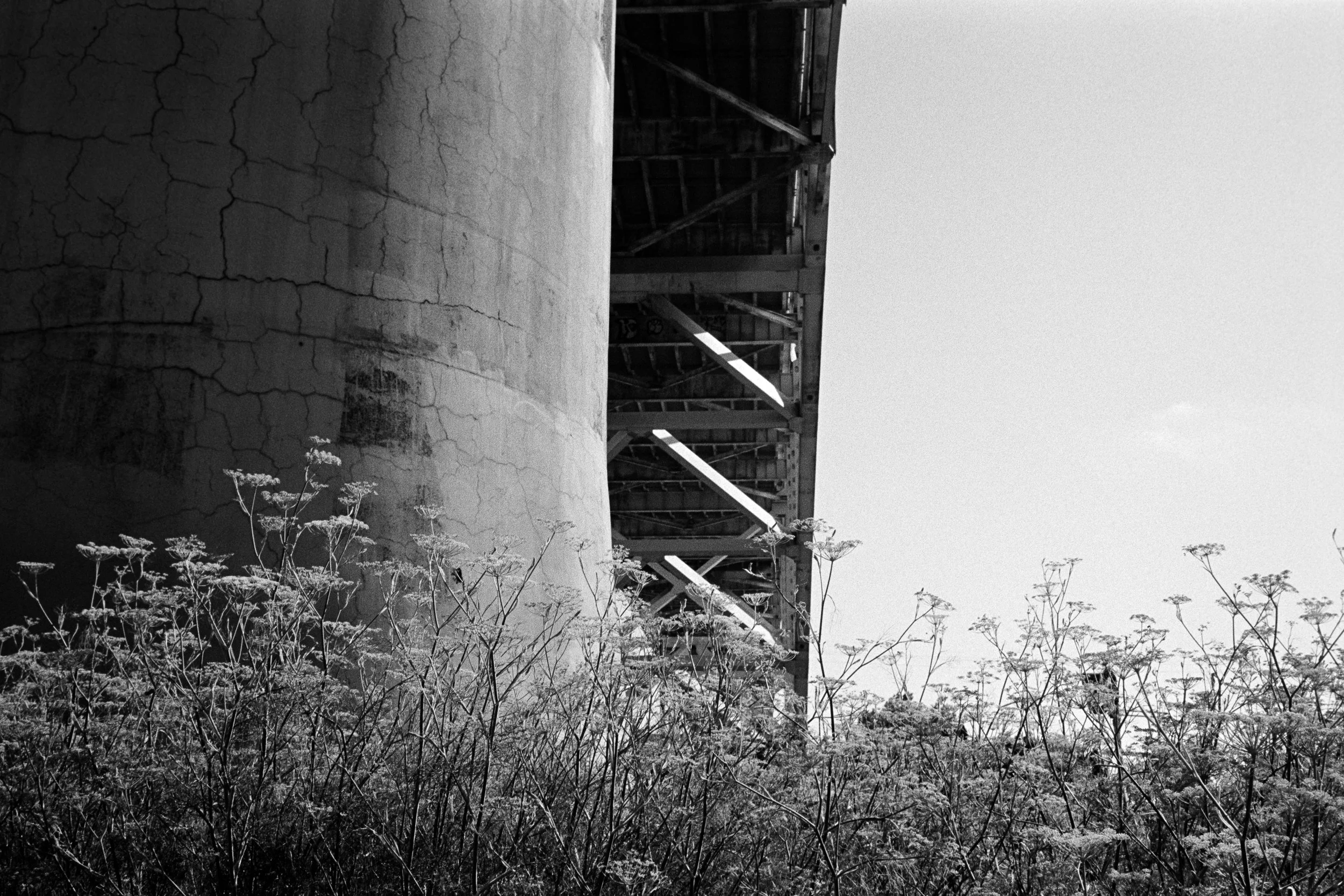 072725_400TX-40.jpg
