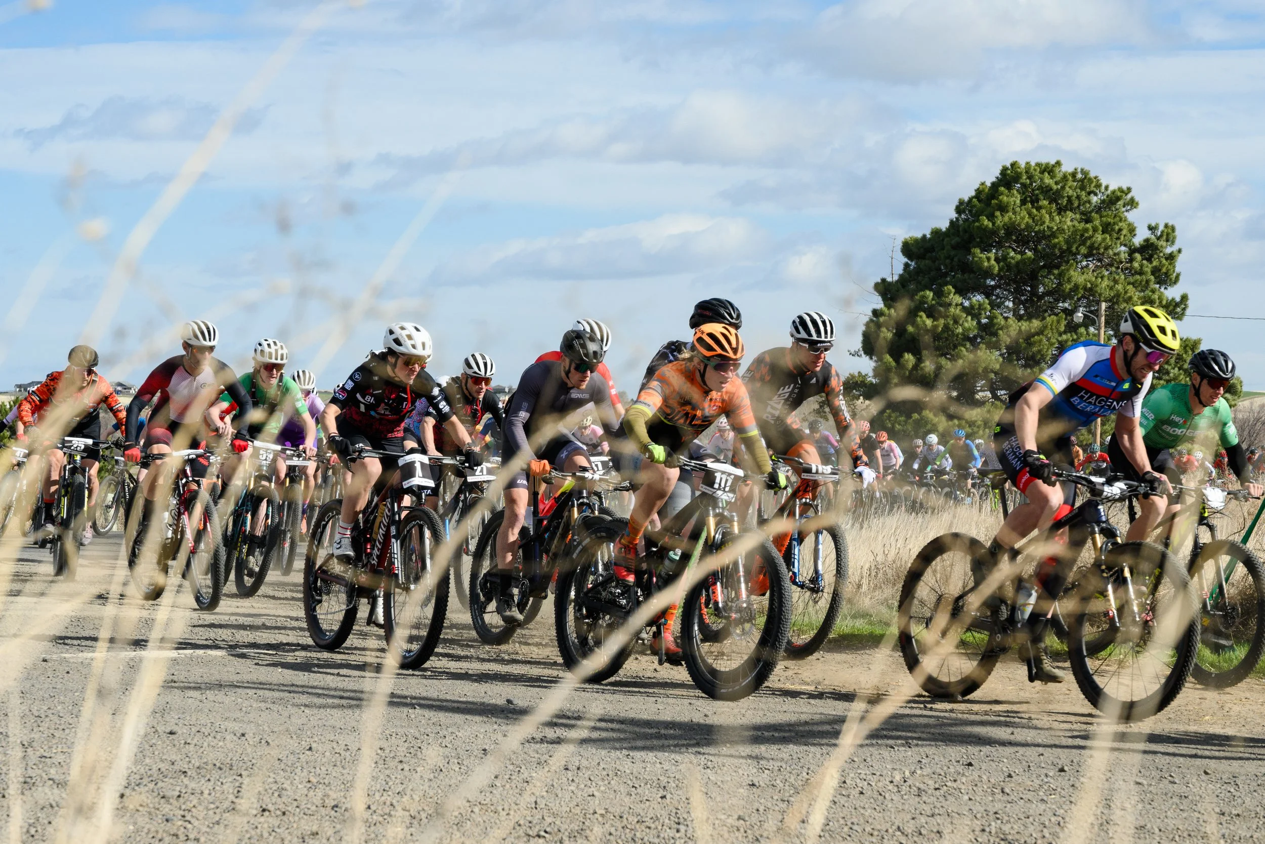 EchoMTB-1.jpg
