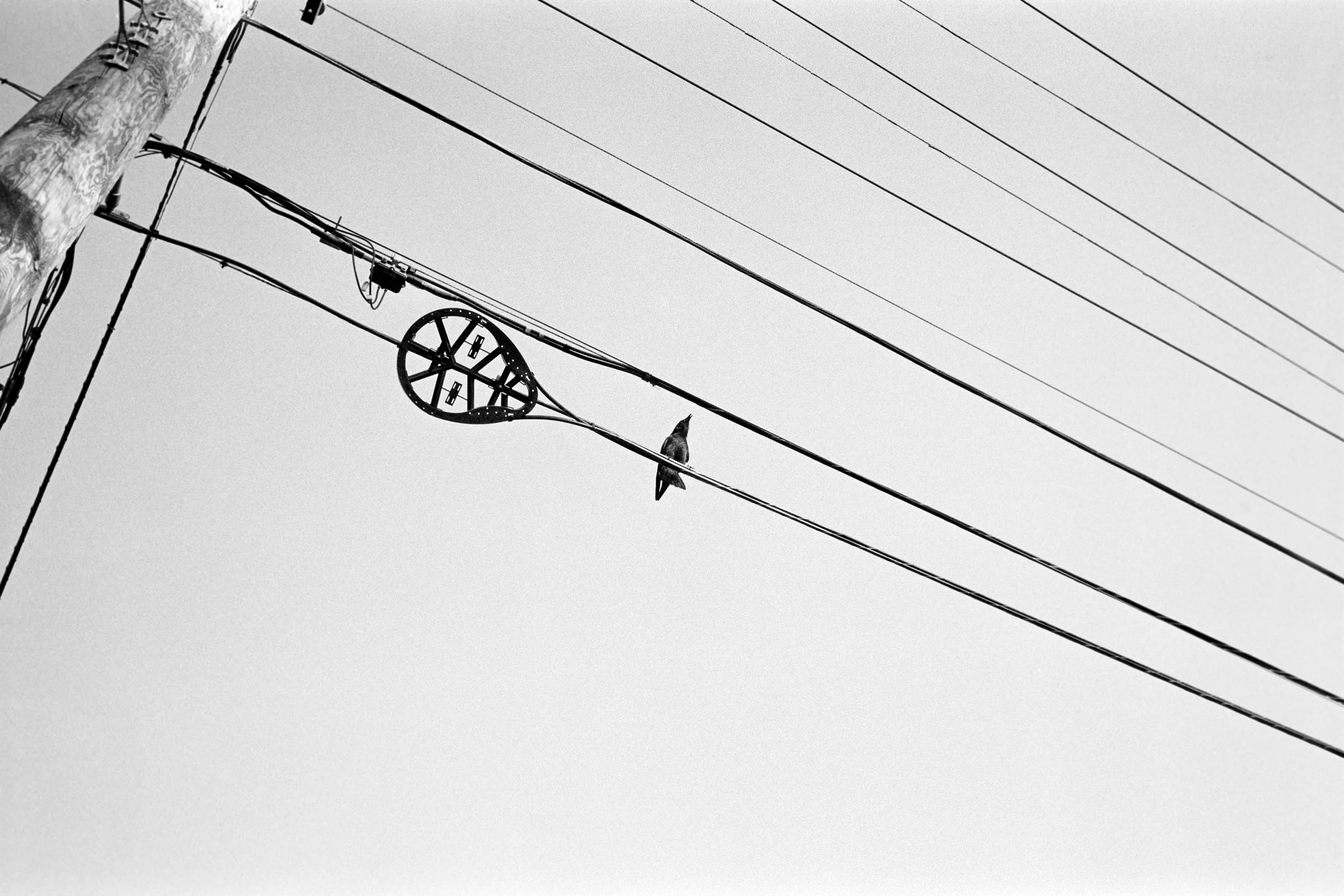 5.25_Delta400-50.jpg