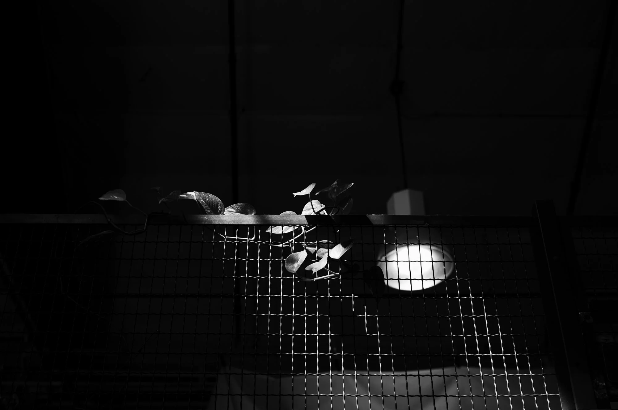 Factory_dig-8.jpg
