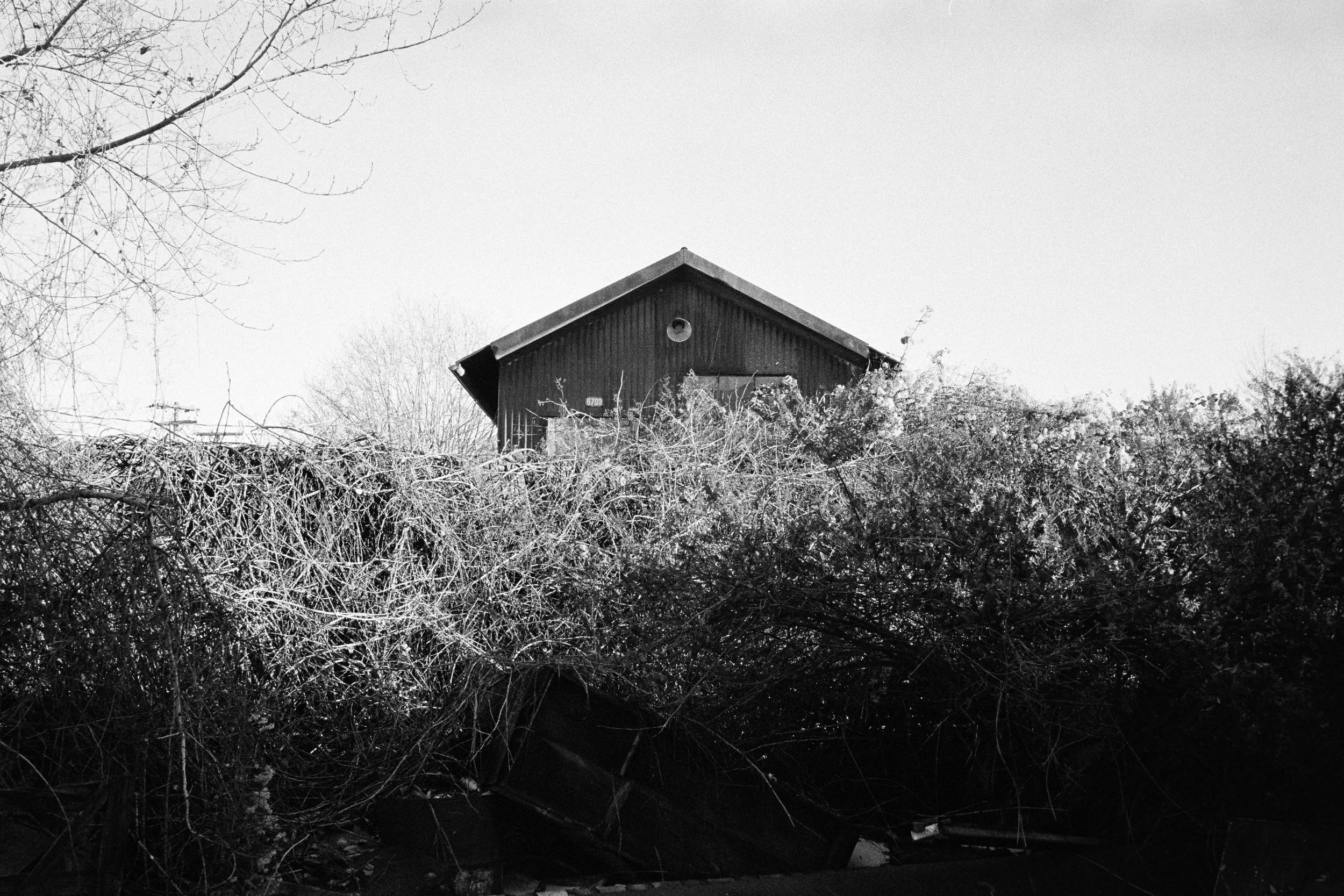 HP5_M4M6-30.jpg