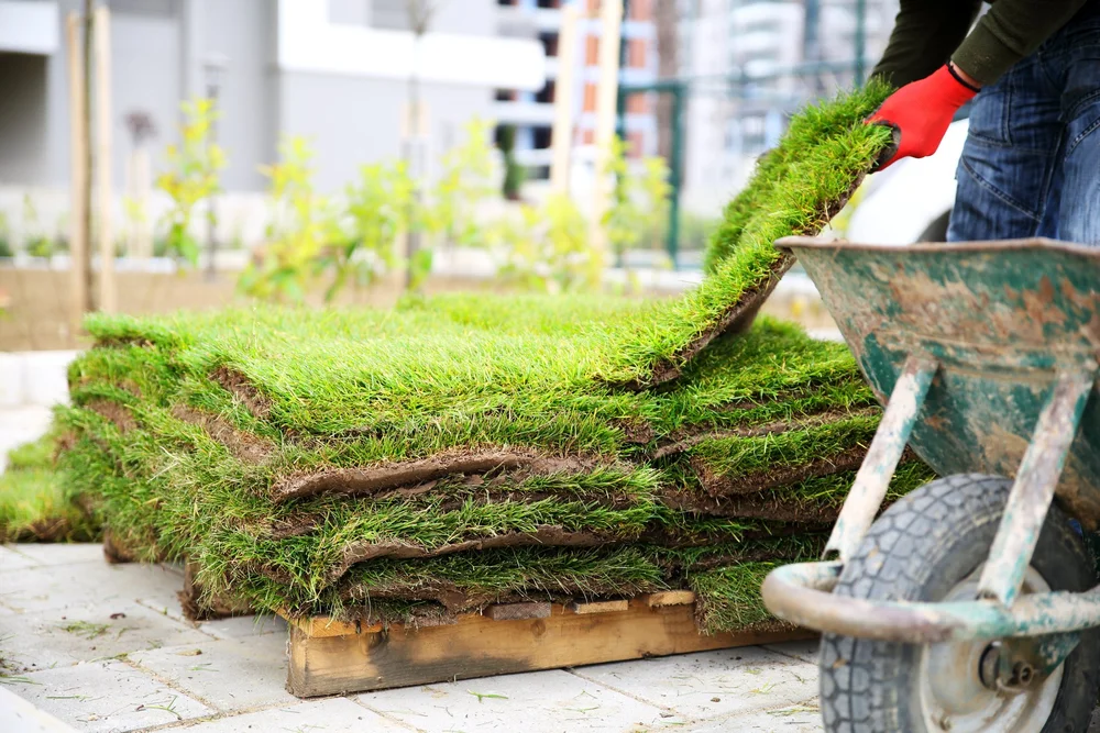 Fresh lawn materials
