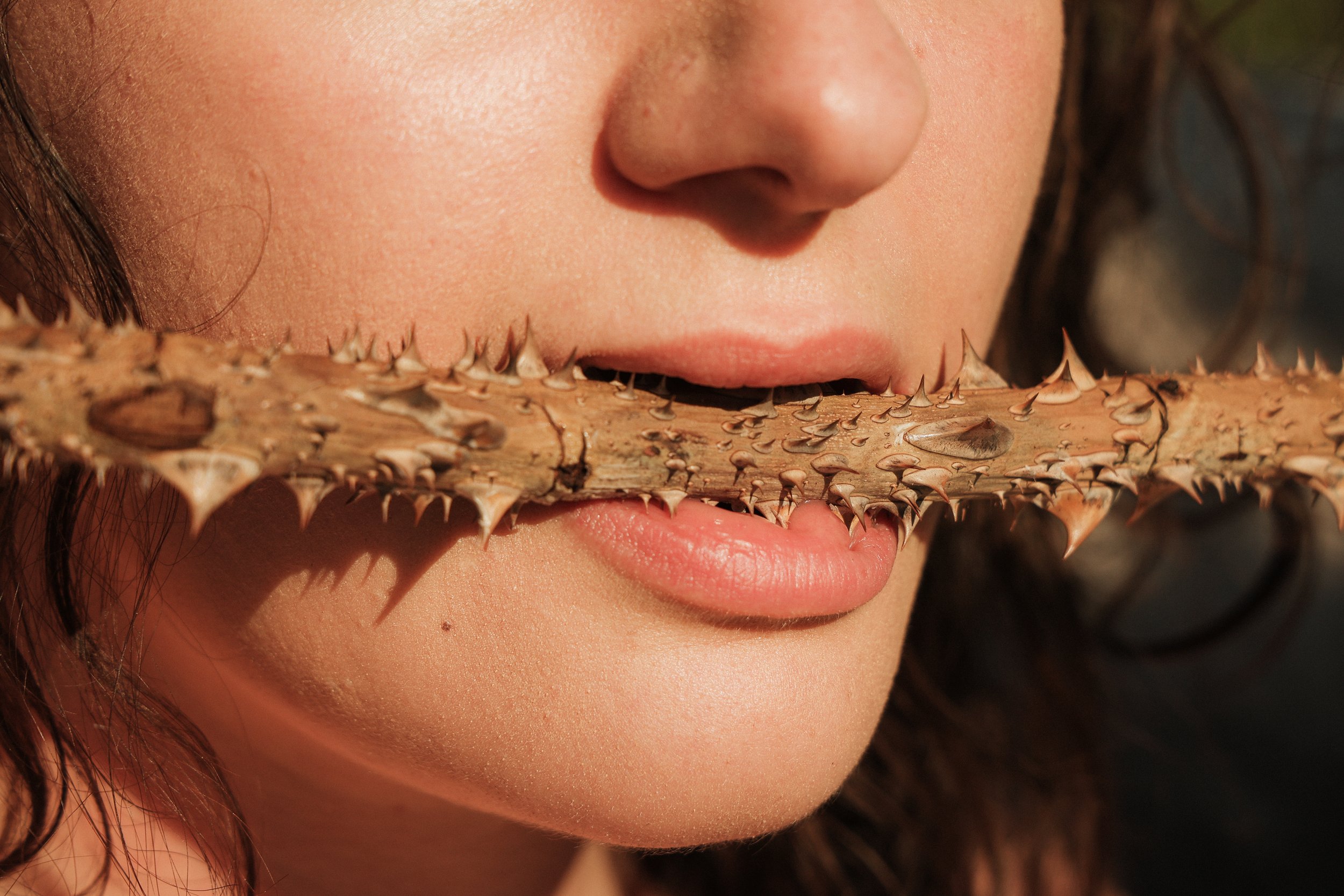 thorns .jpg