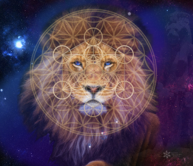 Lion’s Gate Portal 8:8