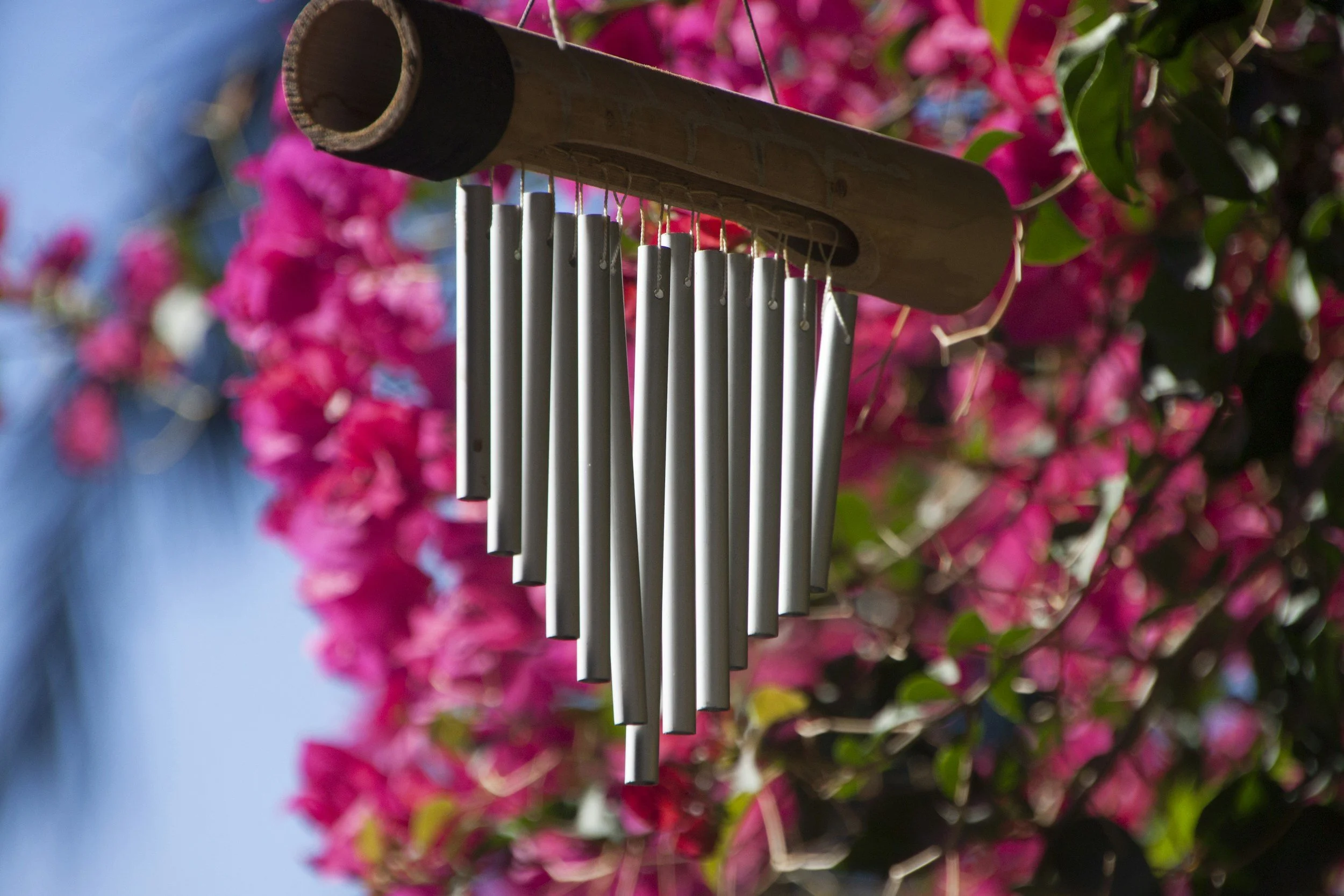 Listen to the Music