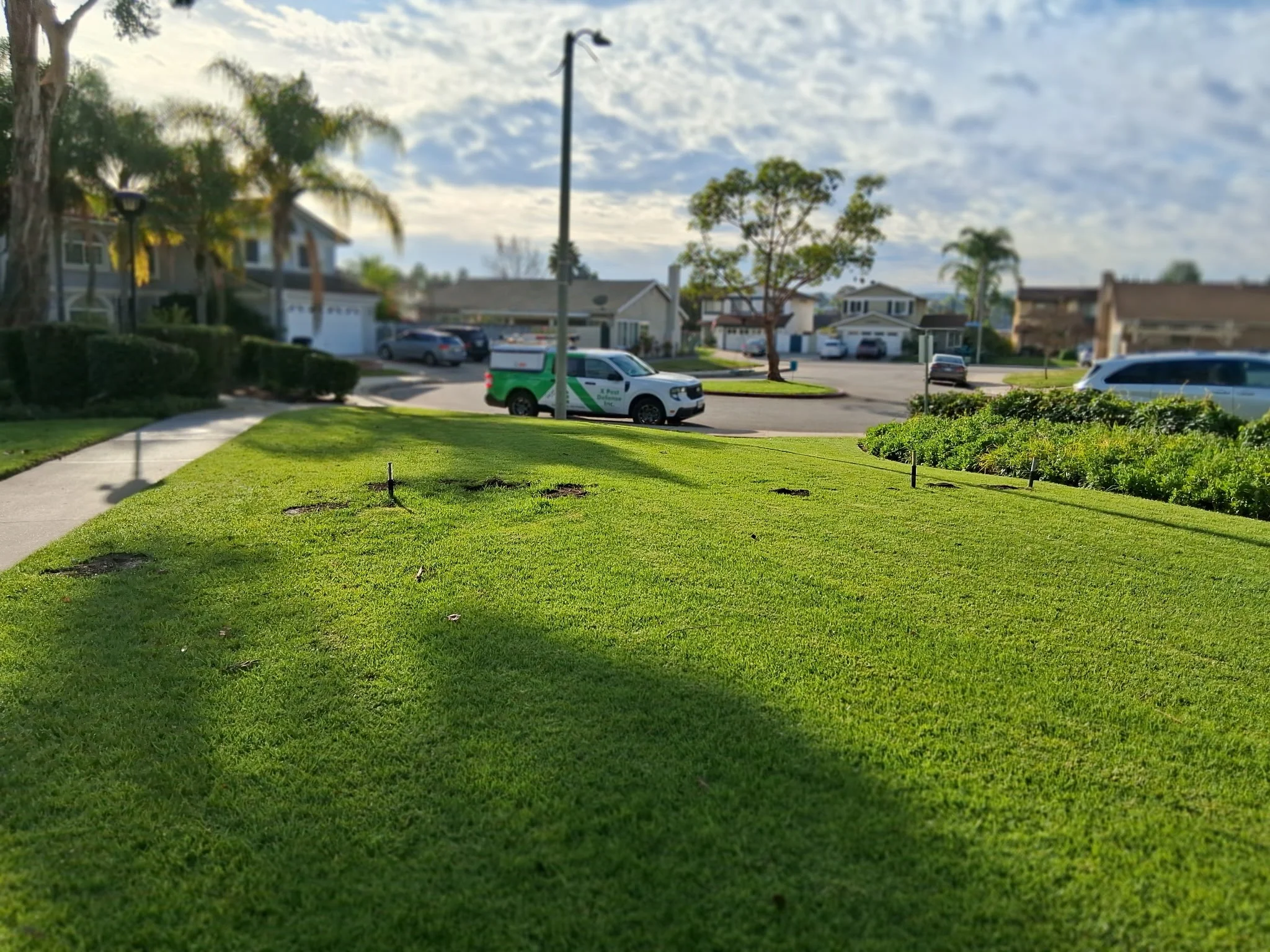 Seasonal Pest Trends in Southern California