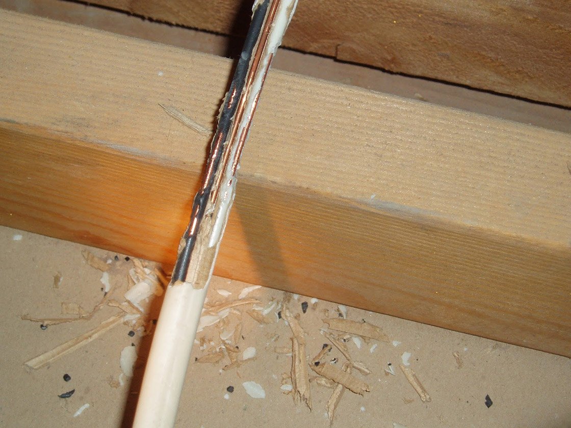 Cost Savings of Preventative Pest Control for HOAs and Business Associations