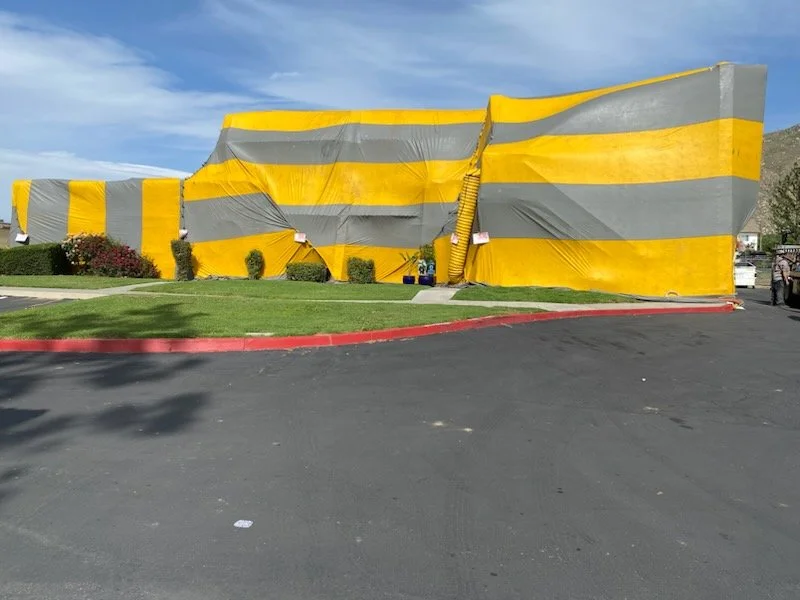 Building covered for tenting for drywood termites.