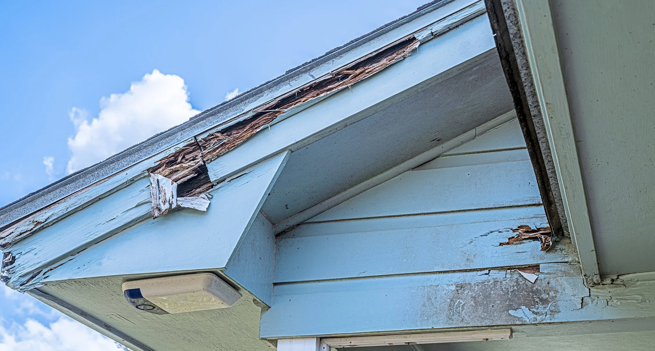 Rotting siding and fascia.