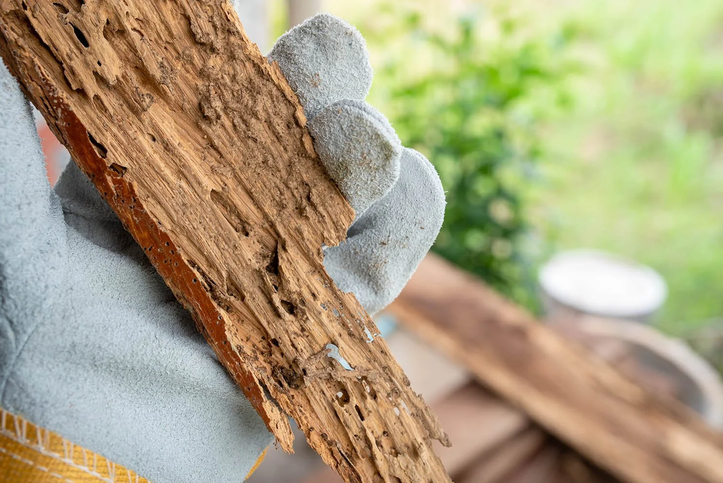 Subterranean Termite damage.