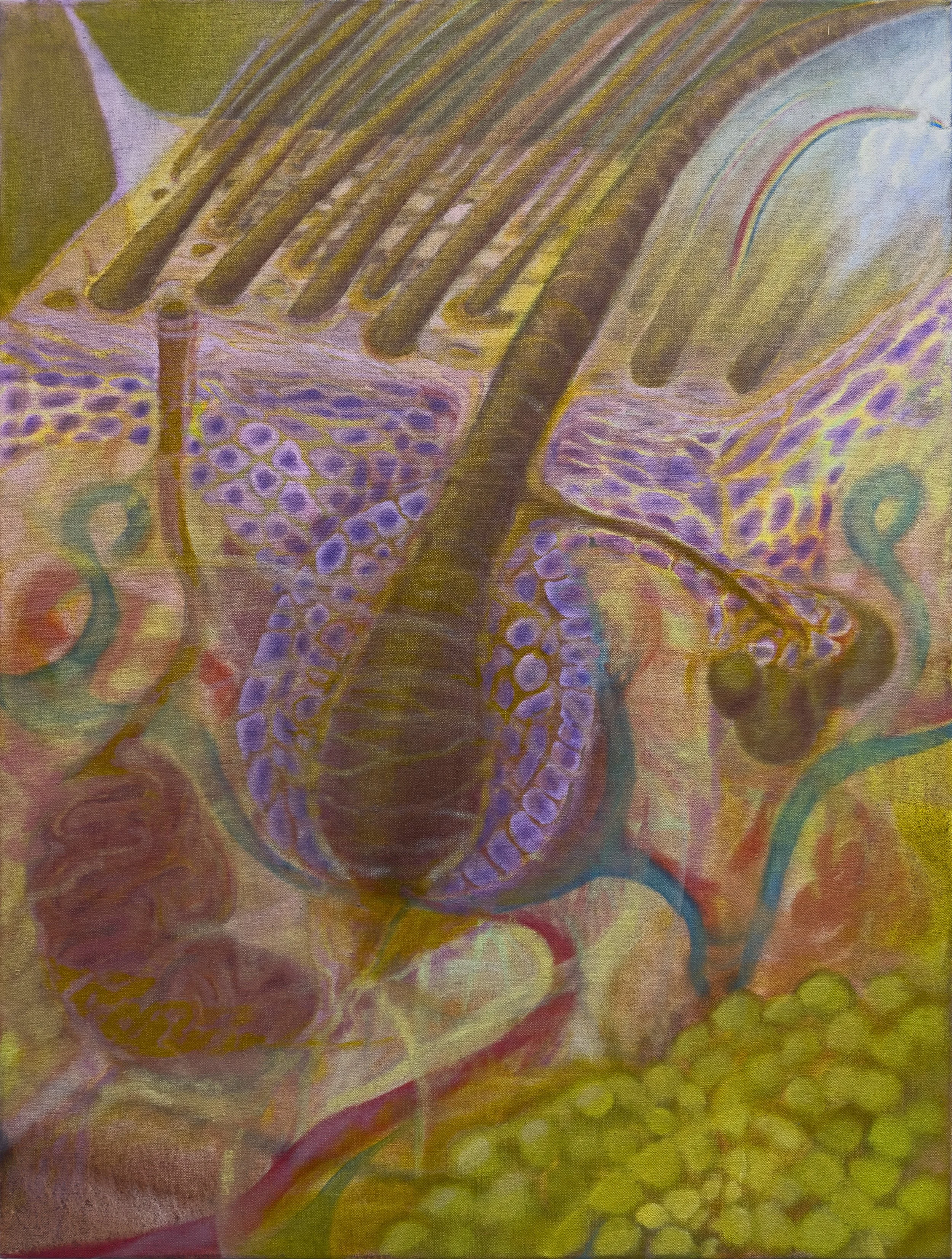 Pleasure Garden, 2026
oil on linen, 40x30 inches