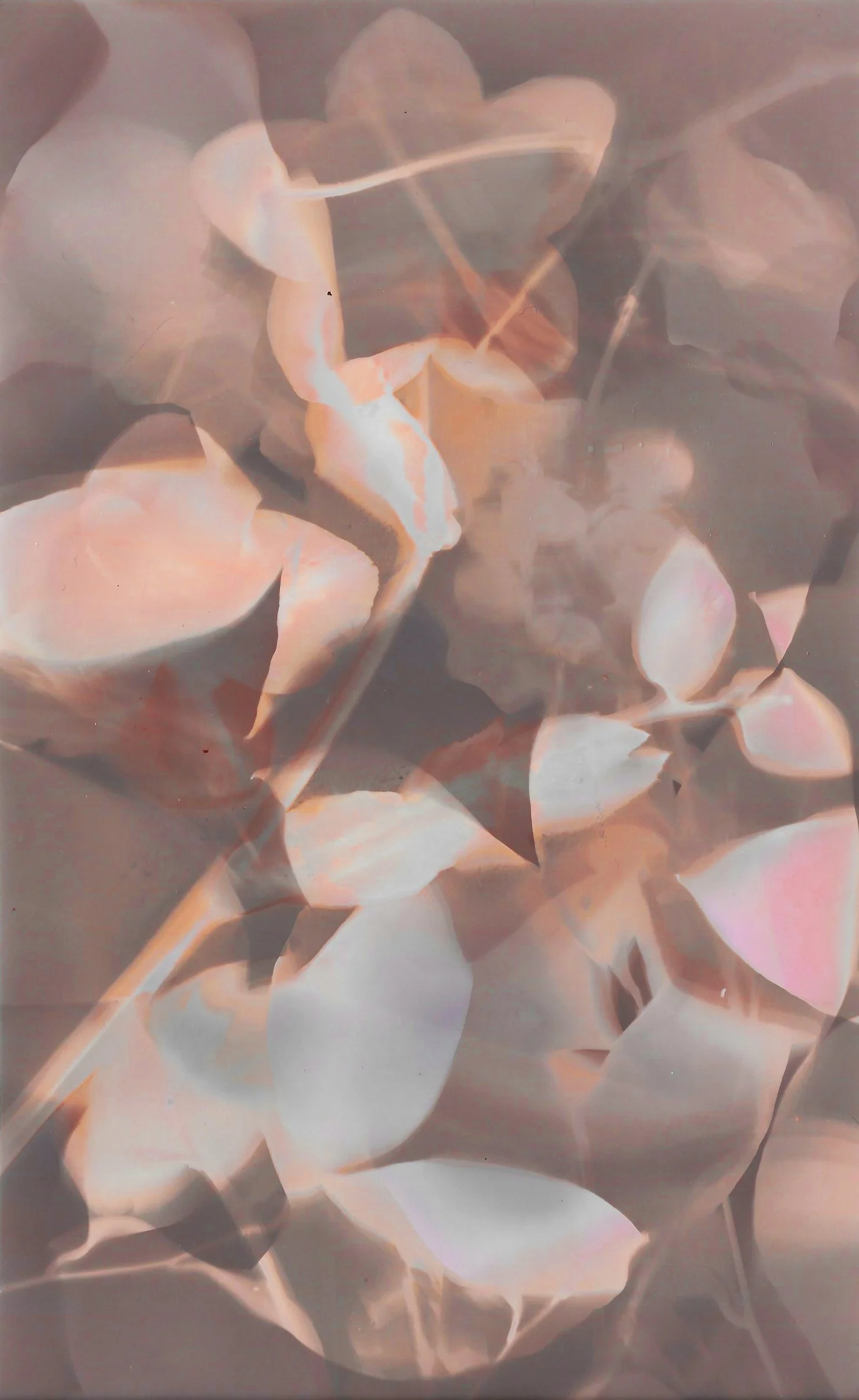 lumen5 2.jpg