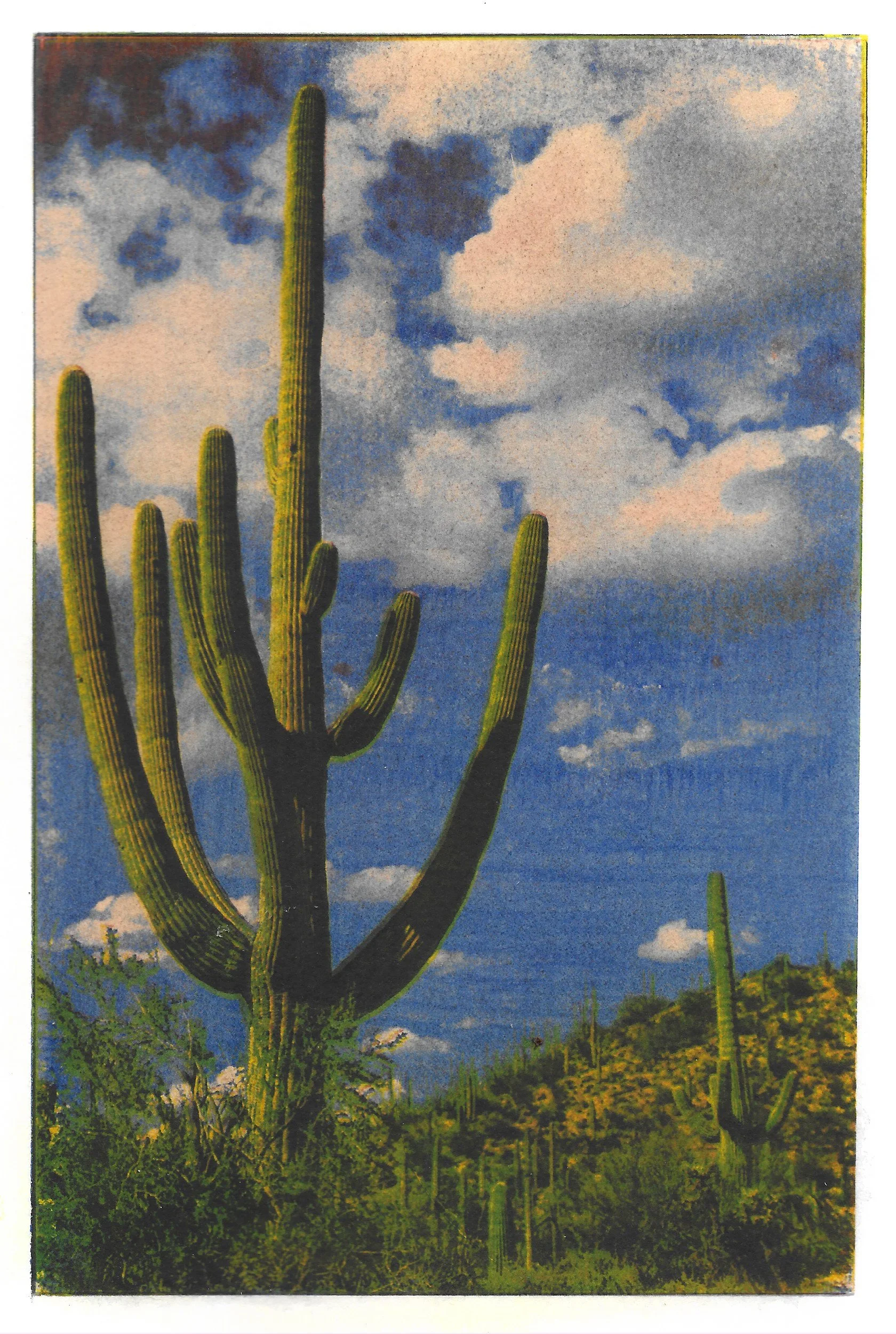 gum bichromate AZ.jpg