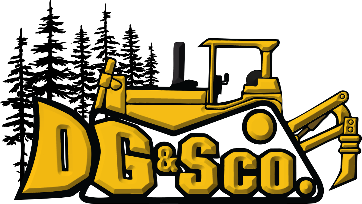 DGS NEW LOGO.png