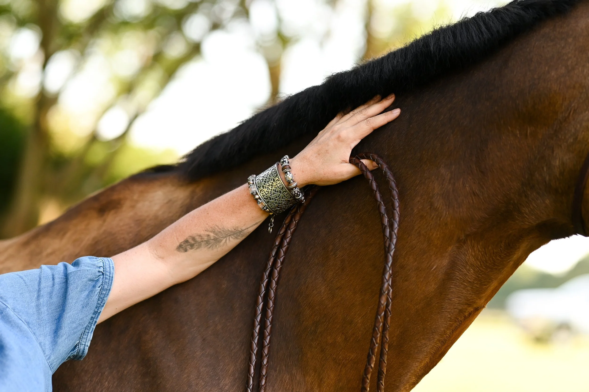 A hand with a feather tattoo resting on a bay horse's neck