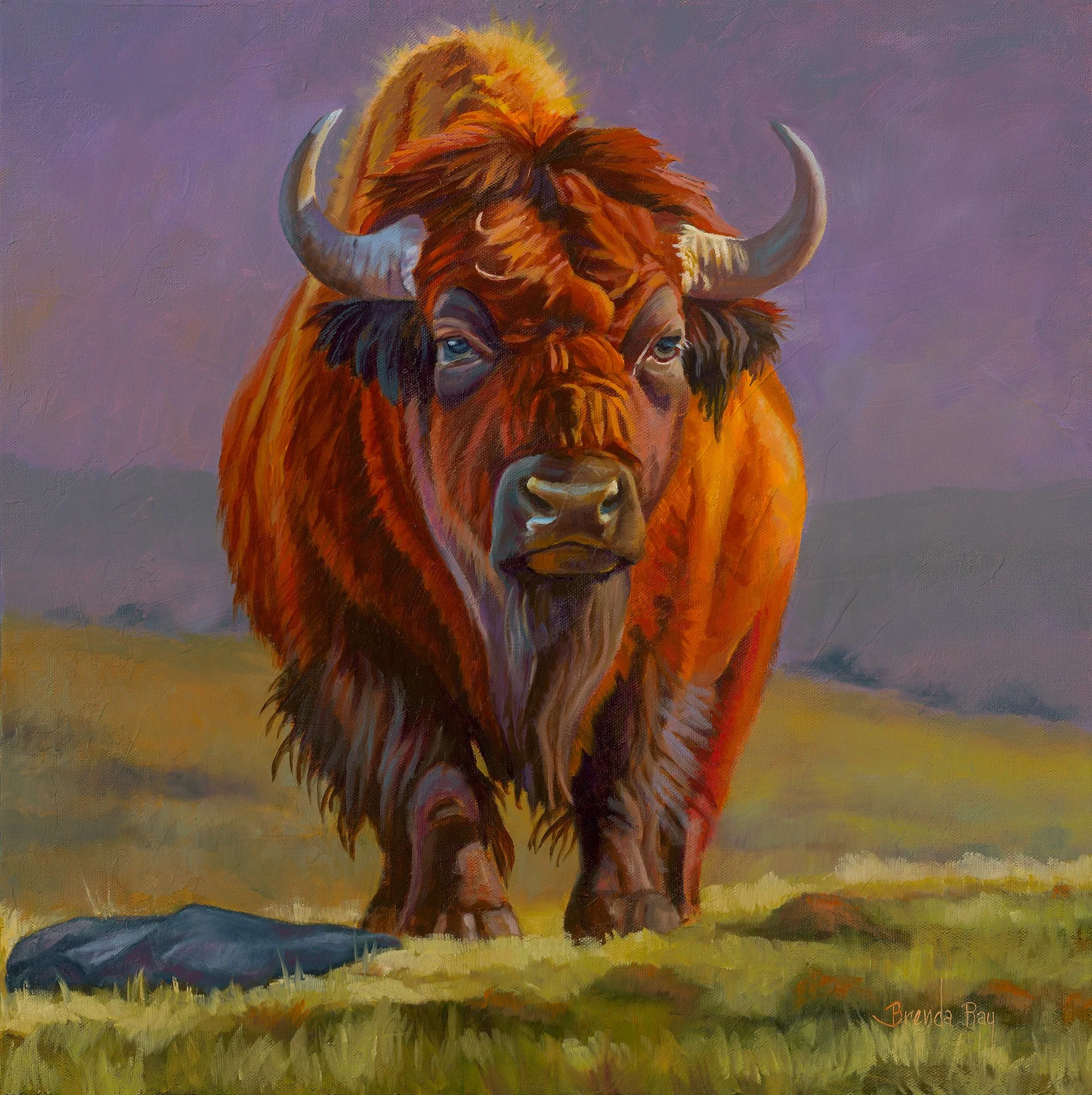 Wooly Bully