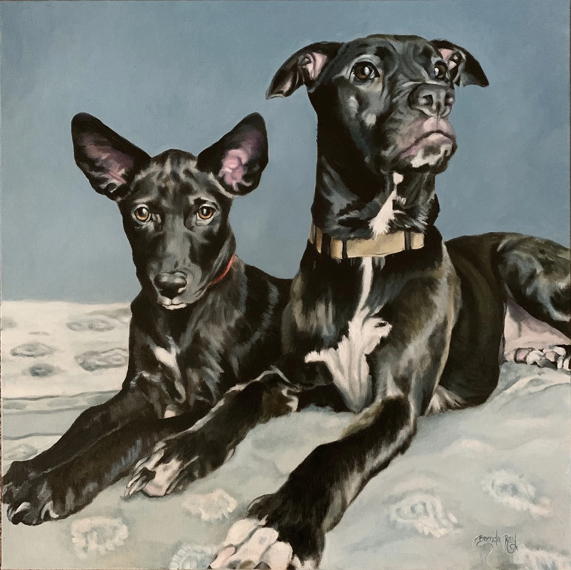 Black Dog