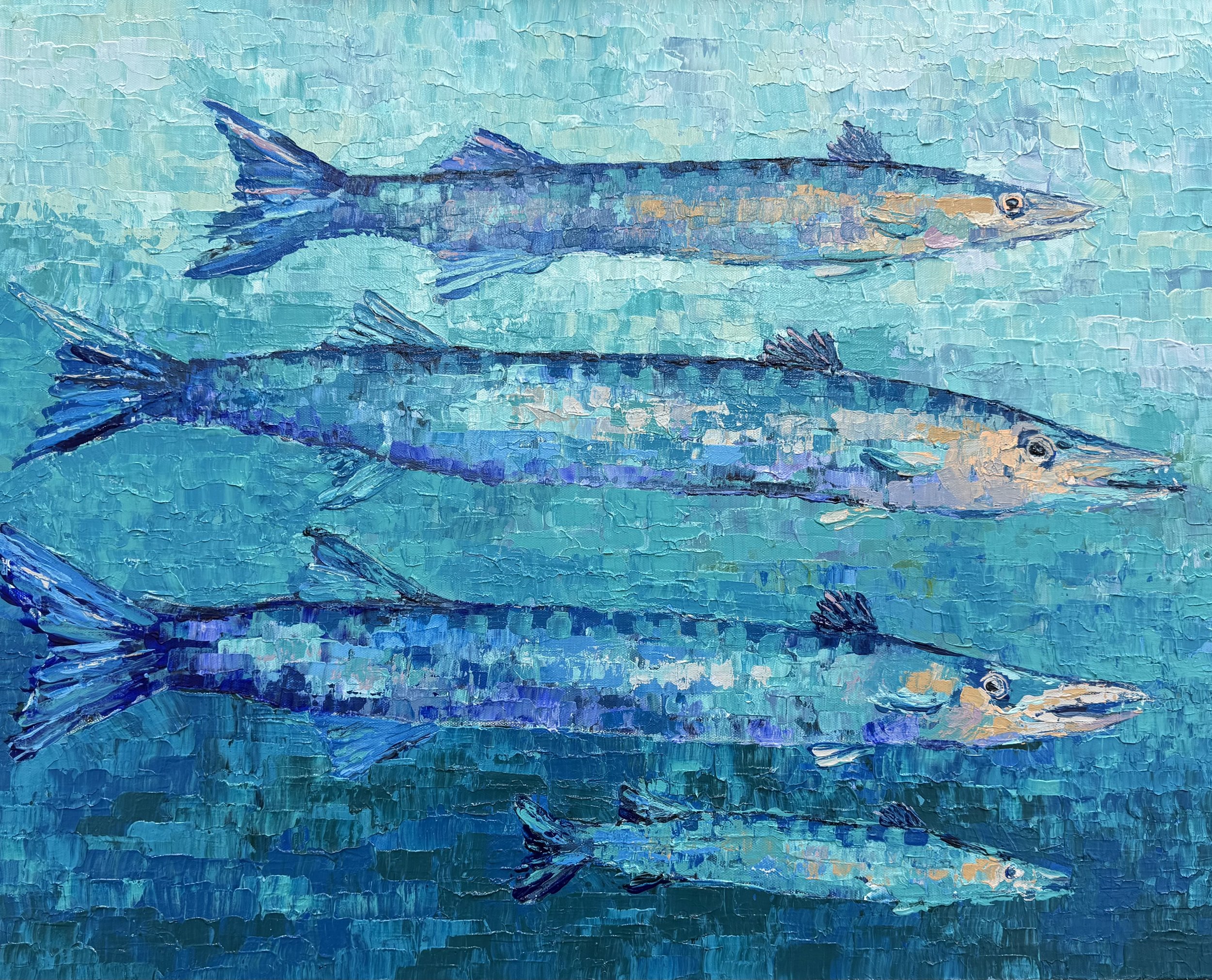 Barracuda - Framed