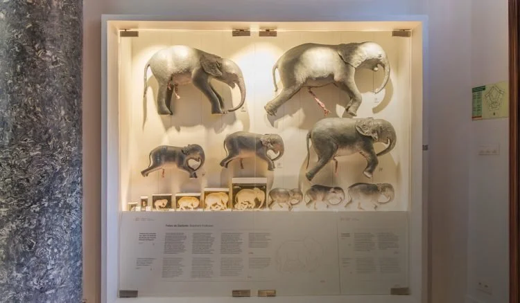 WhatsApp Image 2026-04-13 at 10.41.25.jpeg