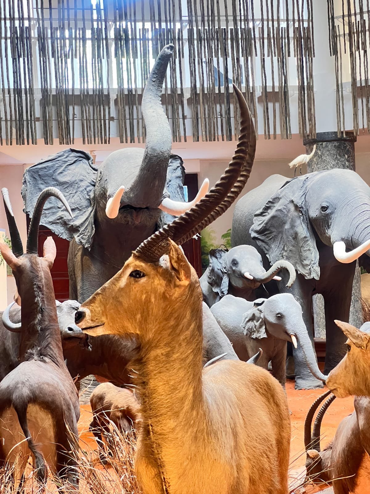 WhatsApp Image 2026-04-13 at 10.41.27 (1).jpeg