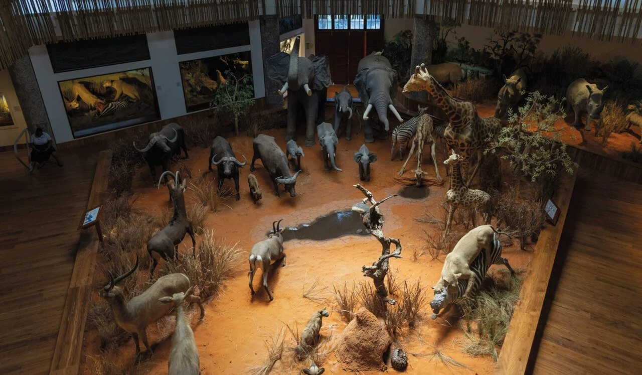 WhatsApp Image 2026-04-13 at 10.41.23.jpeg