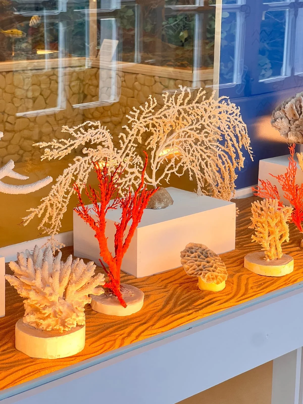 WhatsApp Image 2026-04-13 at 10.41.25 (1).jpeg