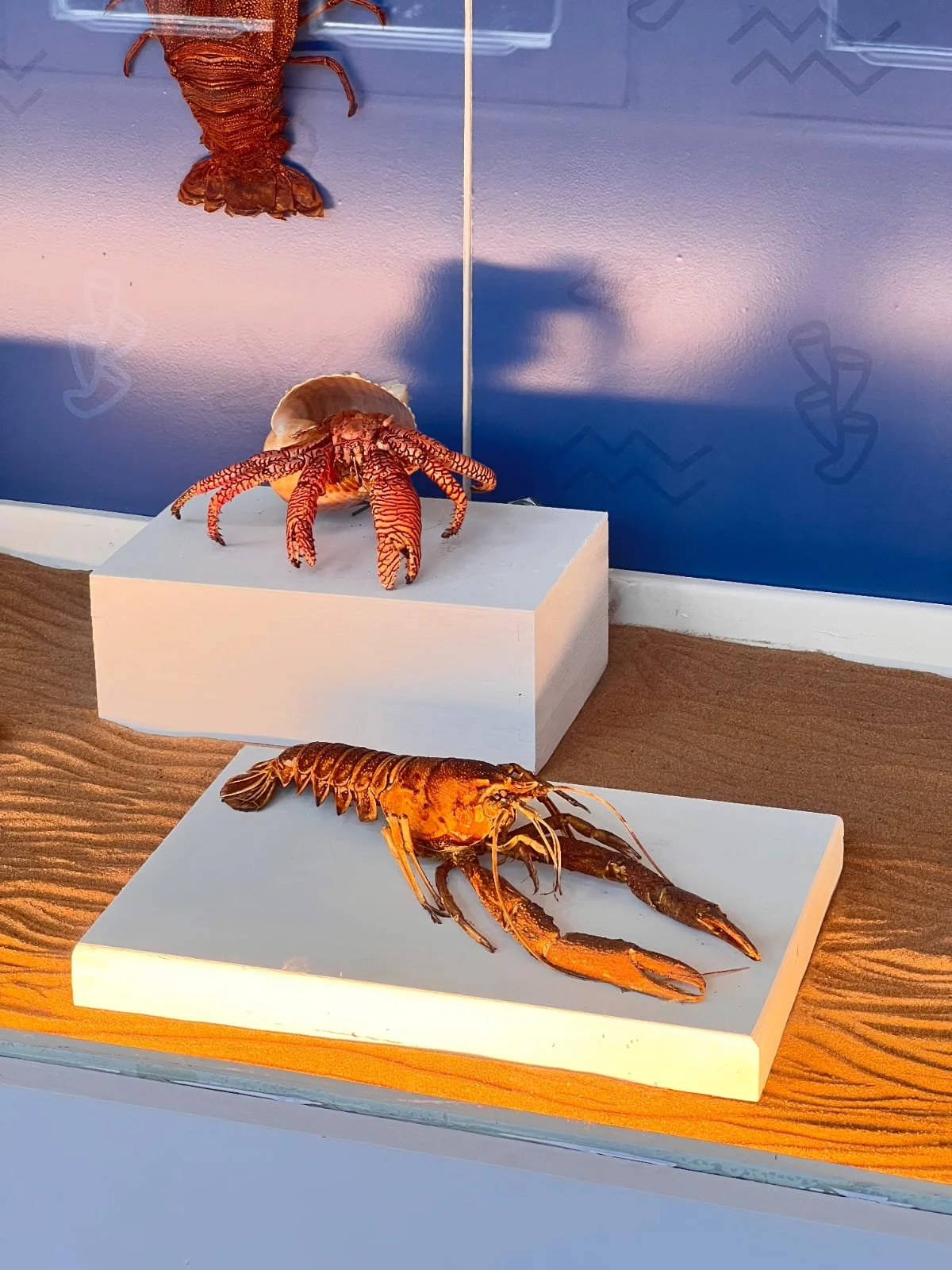 WhatsApp Image 2026-04-13 at 10.41.27.jpeg