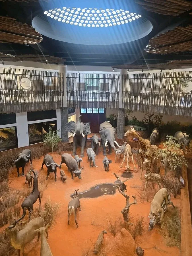 Prepare-se para uma experiência verdadeiramente única – Explore a Cidade de Maputo com uma paragem especial no Museu de História Natural de Maputo.