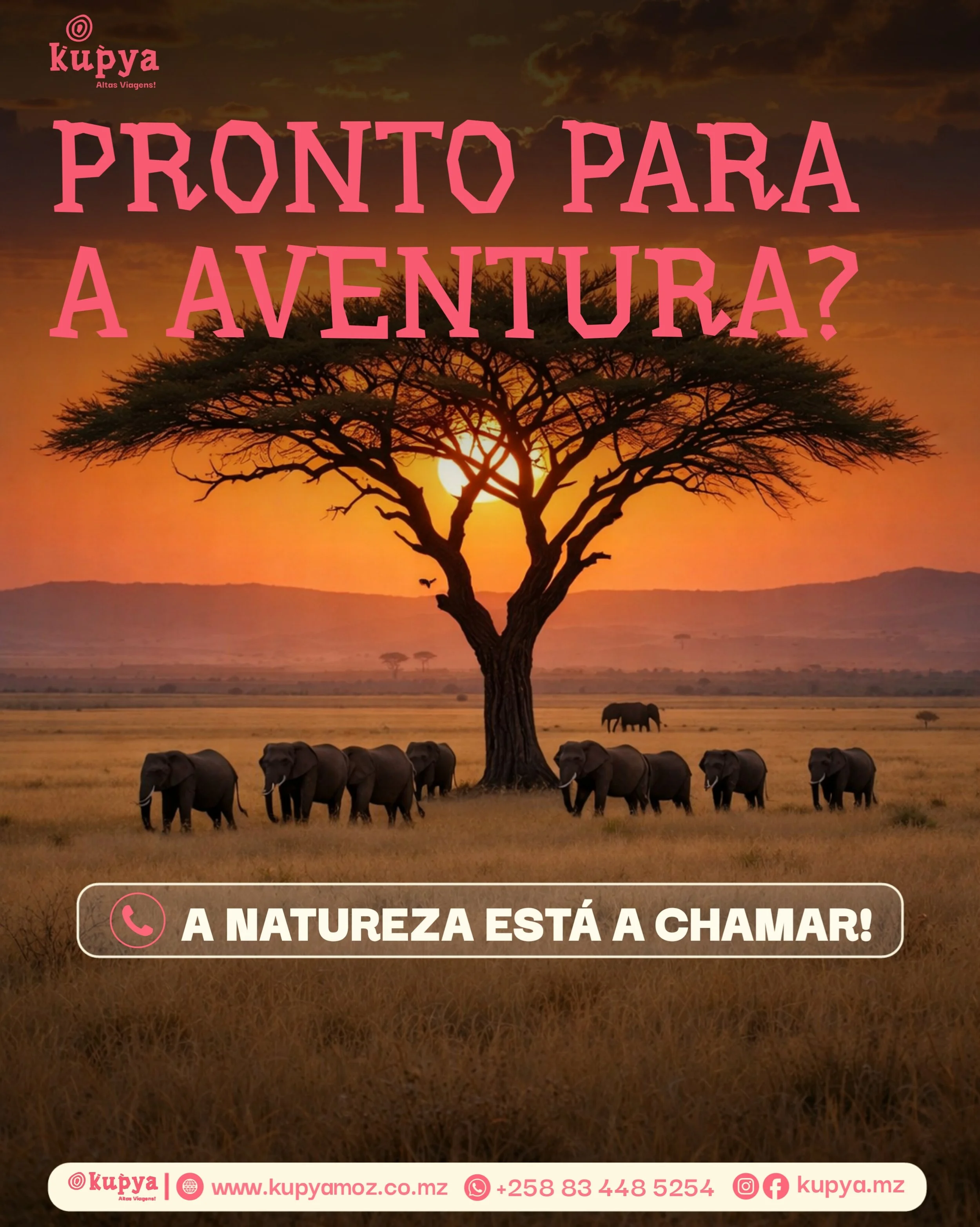 Árvore de Acácia ao pôr do sol com elefantes na planície africana, refletem a beleza da natureza selvagem.
