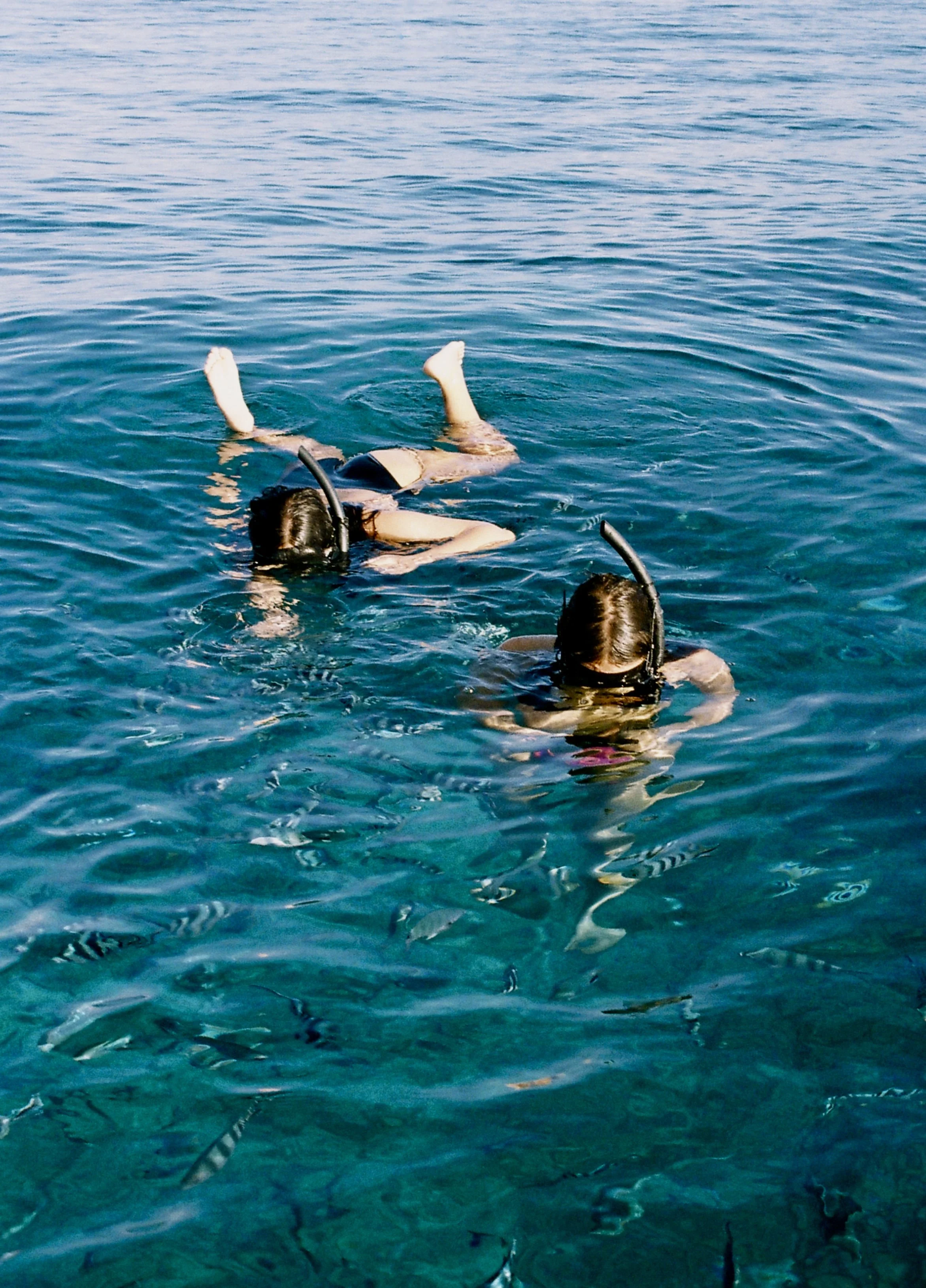 Deux personnes nageant avec des têtes sous l'eau, portant des équipements de plongée, dans une mer bleue claire.
