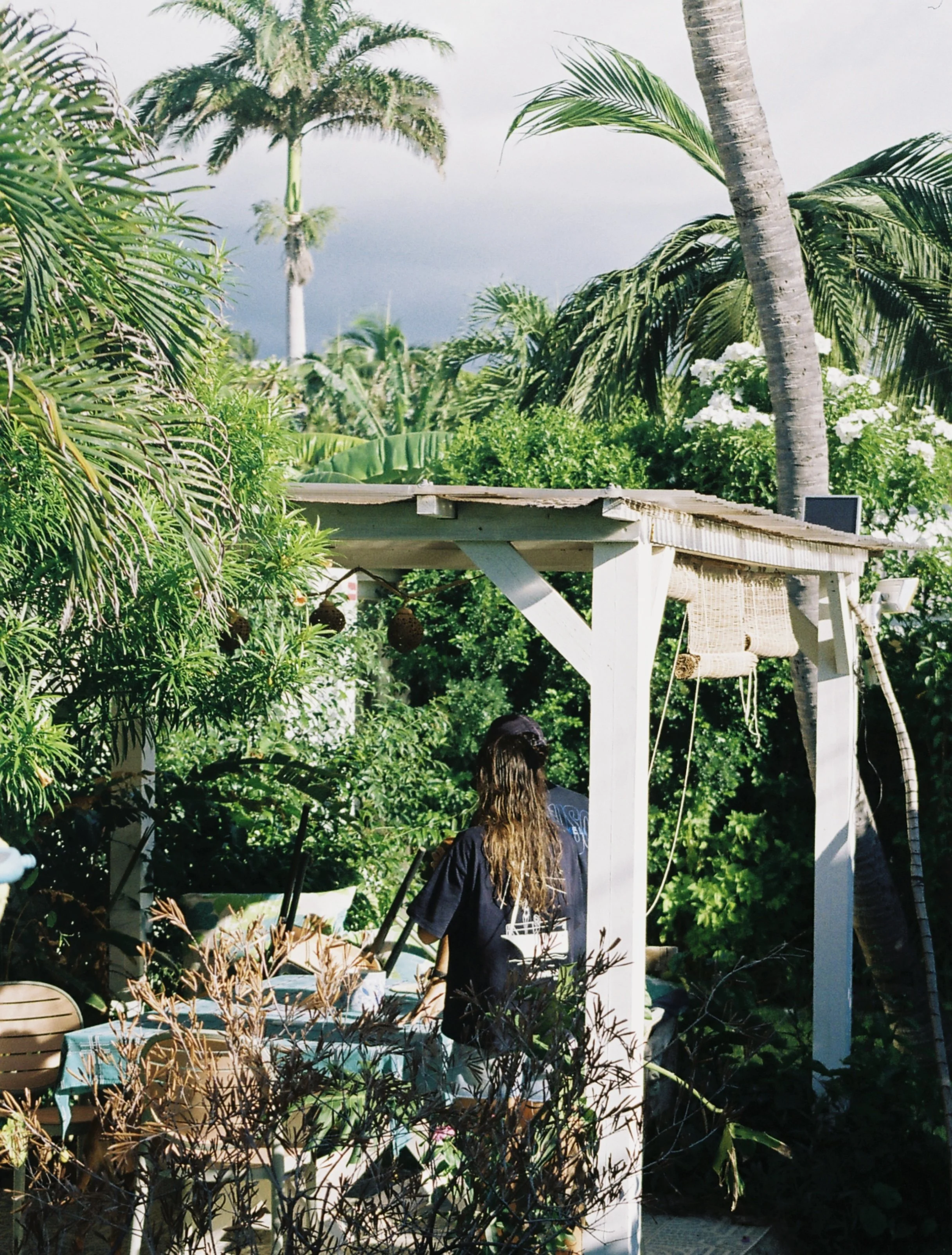 Une personne avec des cheveux longs bruns, portant un t-shirt noir, se trouve dans un jardin tropical luxuriant avec plusieurs palmiers et plantes vertes. Elle est vue de dos, près d'une table et d'une structure en bois blanche.