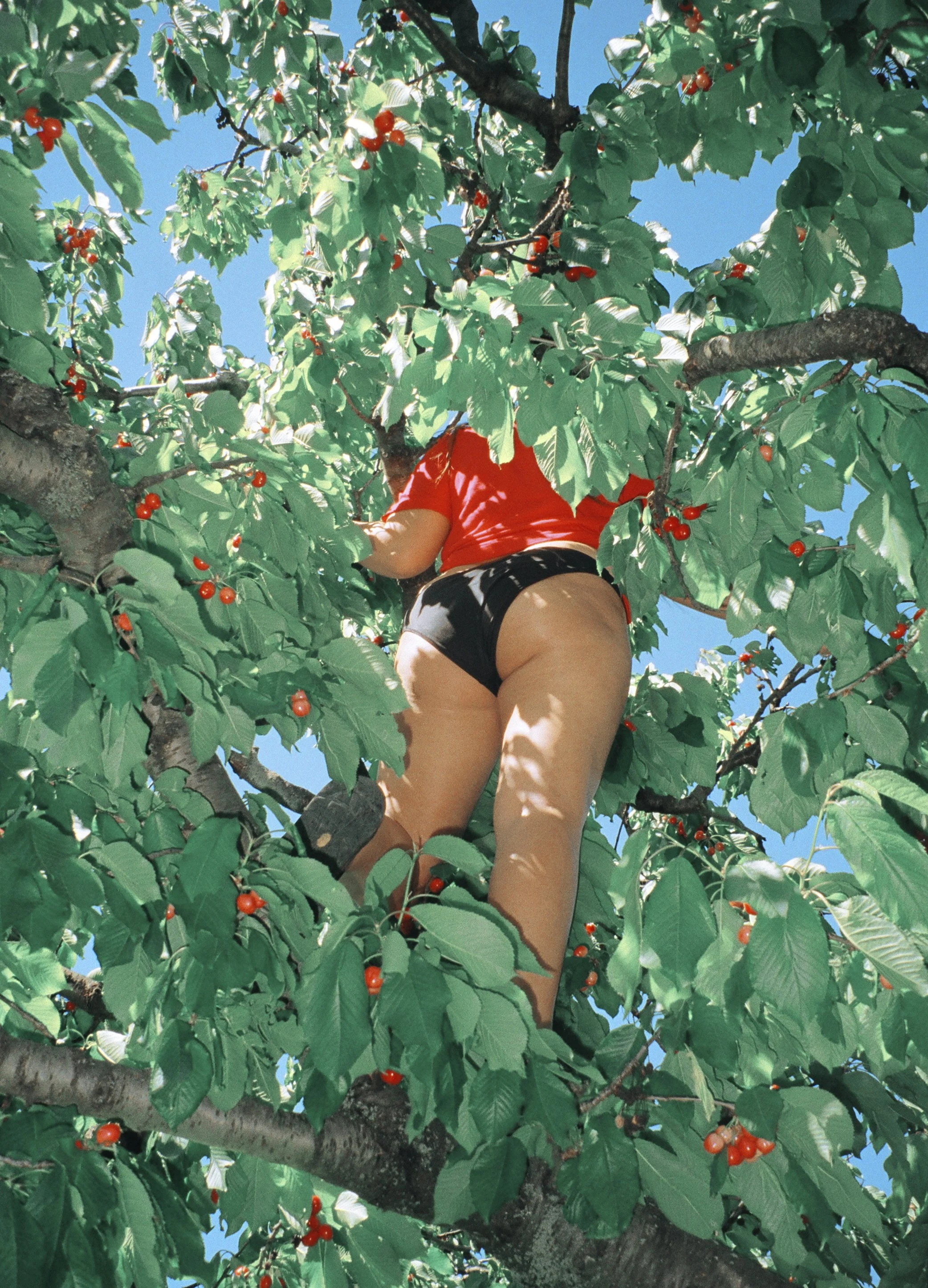 booty fruit copy.jpg