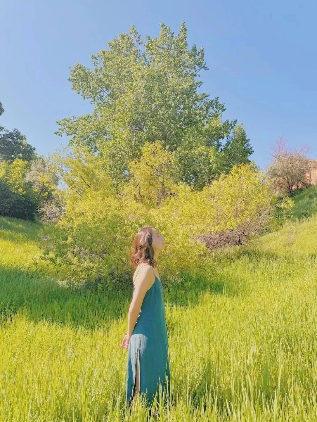 A woman stands in a grassy field with her eyes closed and face turned upward, surrounded by trees under a clear blue sky.