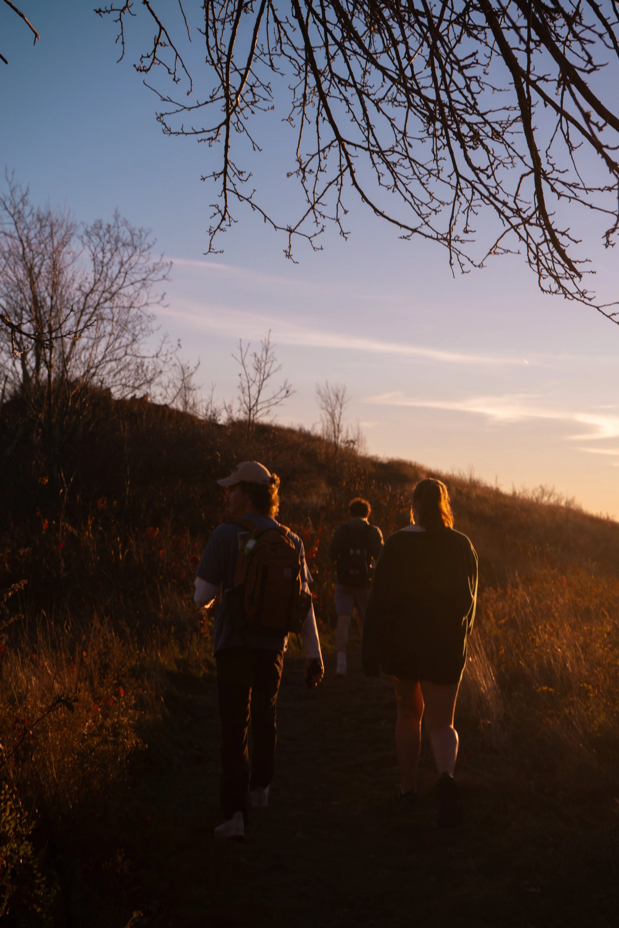 COLE MOUNTAIN ~ HIKE