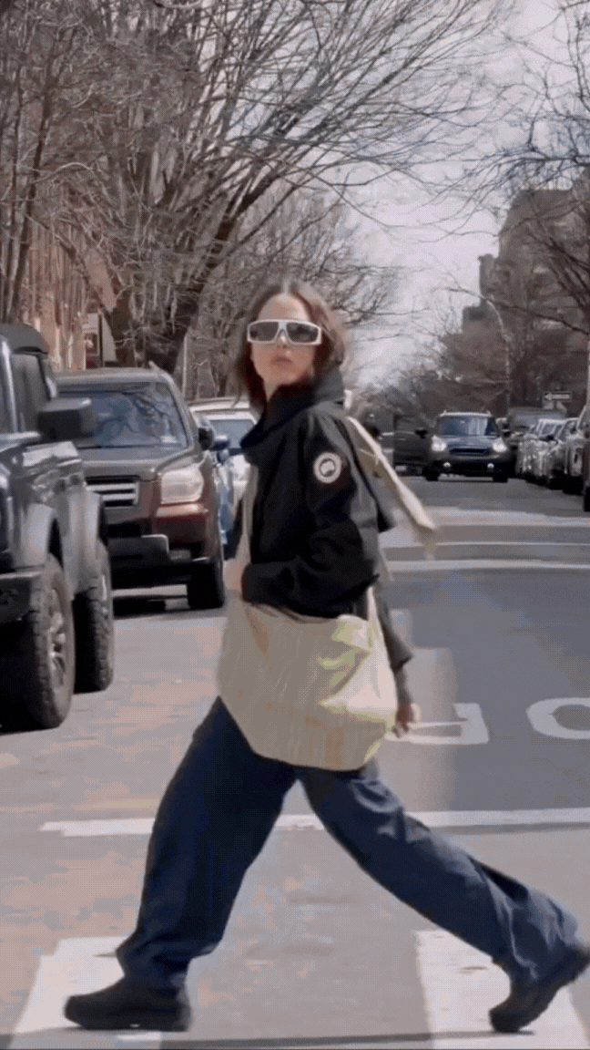 Canada Goose - April 2025.gif