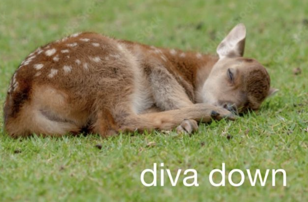 Being Type A and in Your Twenties